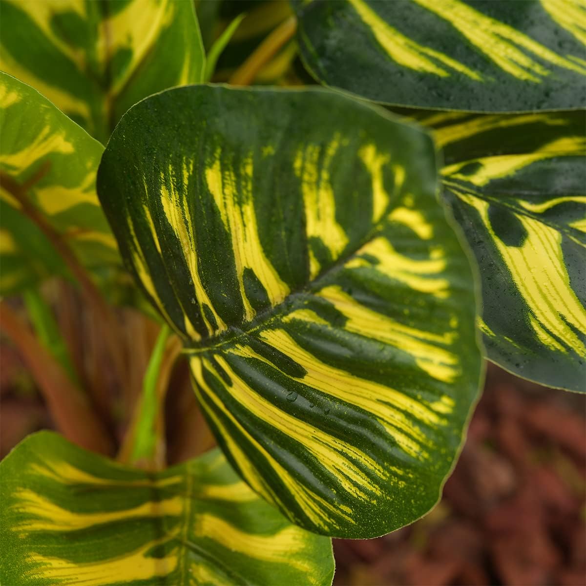 Reptile Terrarium Decor Plants, Bearded Dragon Tank Accessories fit Crested Gecko Leopard Lizard Chameleon Ball Python Snake Frog - Yellow Fake Prayer Peacock Plants