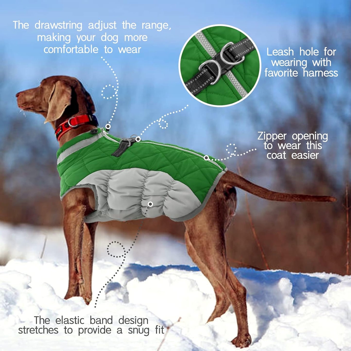 FUAMEY Dog Coat for Small Dogs,Waterproof Dog Winter Jacket with Harness Built in Puppy Cold Weather Coats Reflective Pet Vest with Zipper Warm Fleece Dogs Snowsuit Windproof Green XS