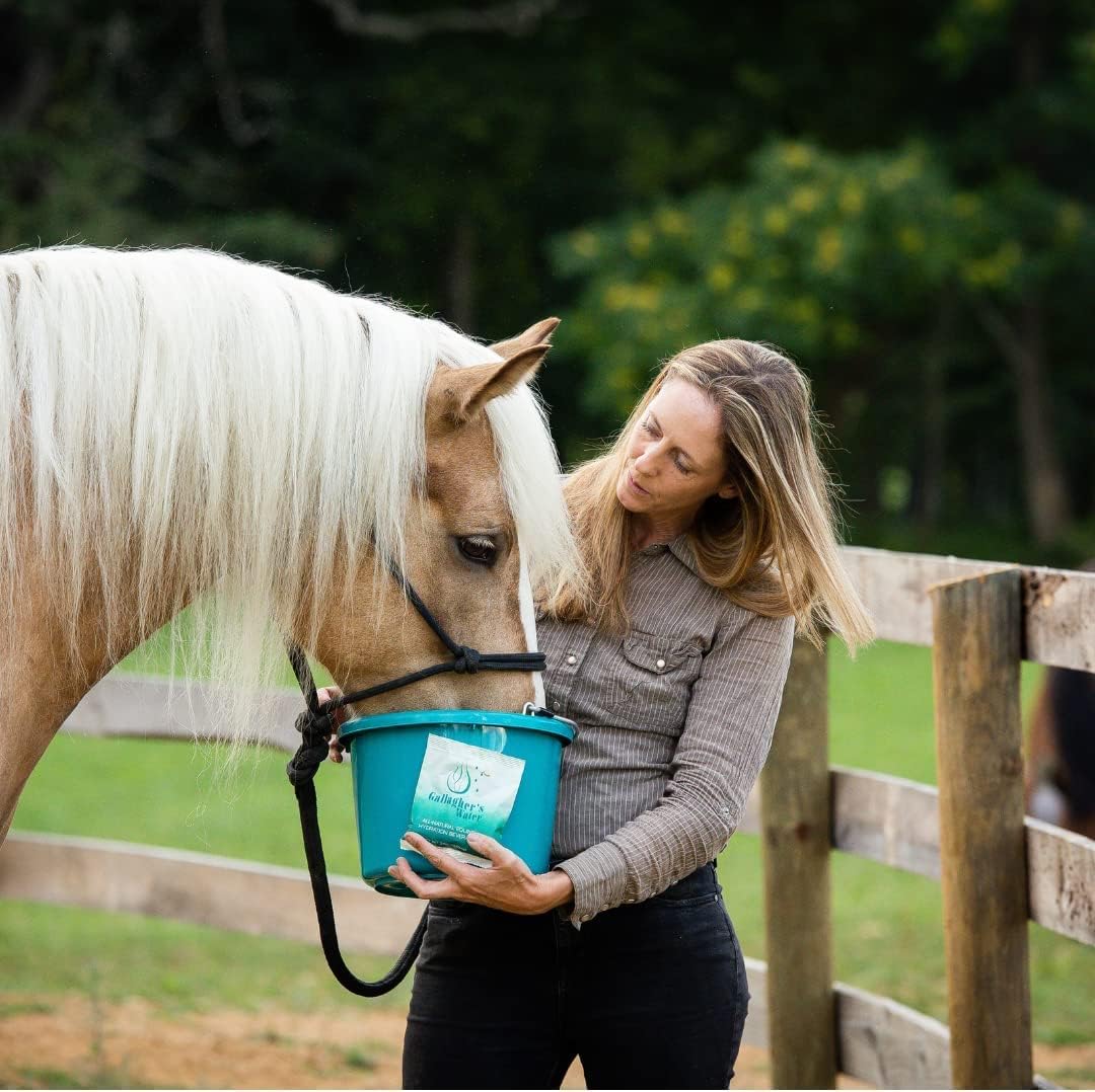 GALLAGHER'S WATER 2 Pack All-Natural Equine Hydration Treat - Enhancement Powder Mix Horse Drink Treat to Help Encourage to Drink Water - Made with All Natural Ingredients, FEI Compliant