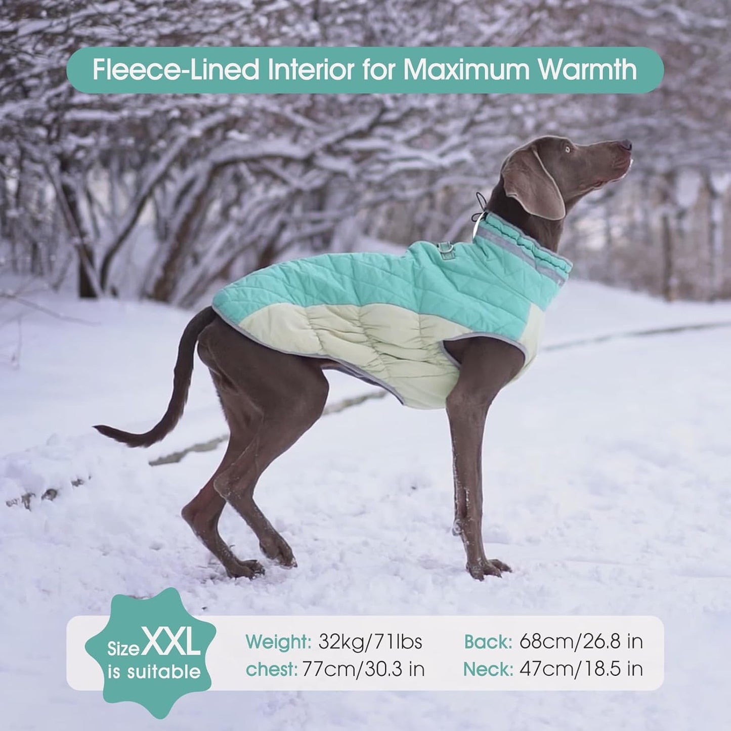 FUAMEY Dog Coat for Medium Dogs,Waterproof Dog Winter Jacket with Harness Built in Puppy Cold Weather Coats Reflective Pet Vest with Zipper Warm Fleece Dogs Snowsuit Windproof Mint Green M