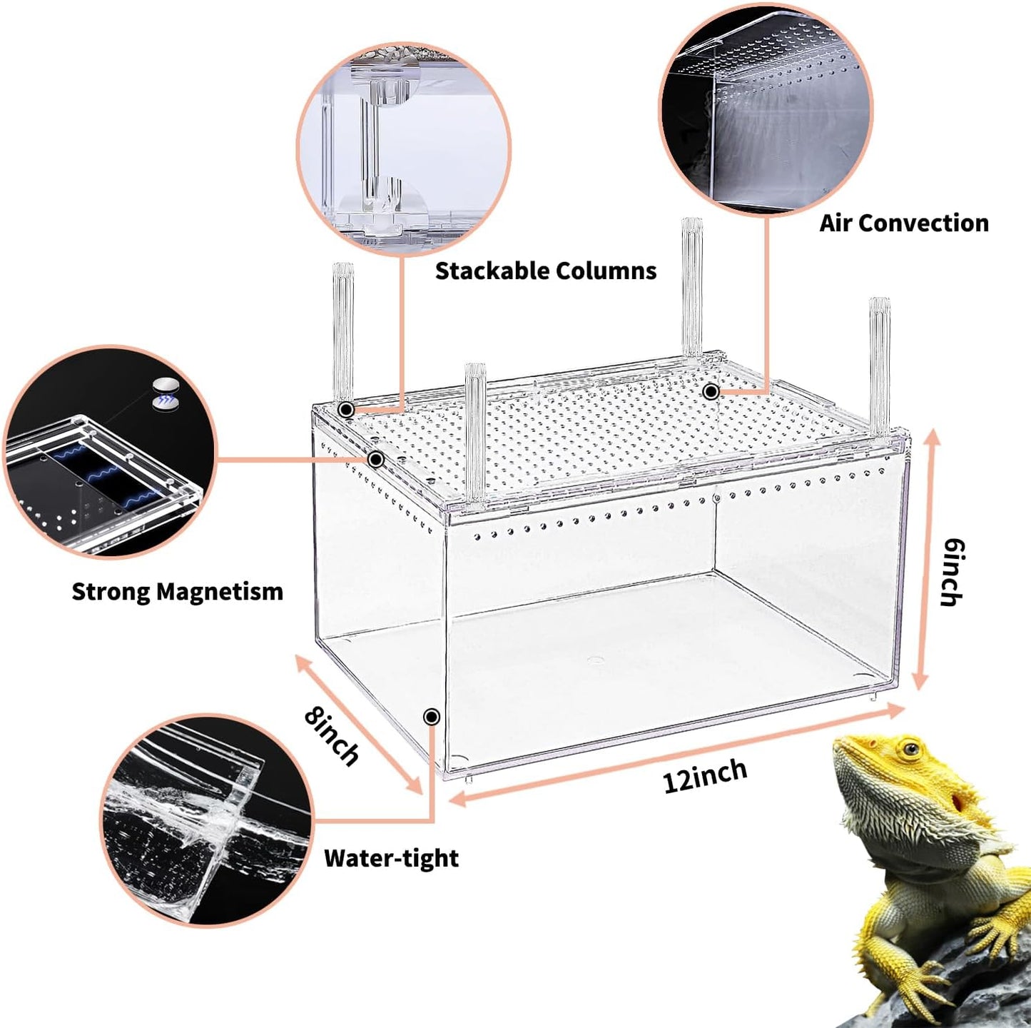 【No Assembly】 Reptile Tank Enclosure with Magnetic Button.12" * 8" * 6" Thicken Snake Enclosure Cage,Batch Stackable Reptile Breeding Tank for Insect,Fish,Tarantula,Hermit Crab,Jumping Spider