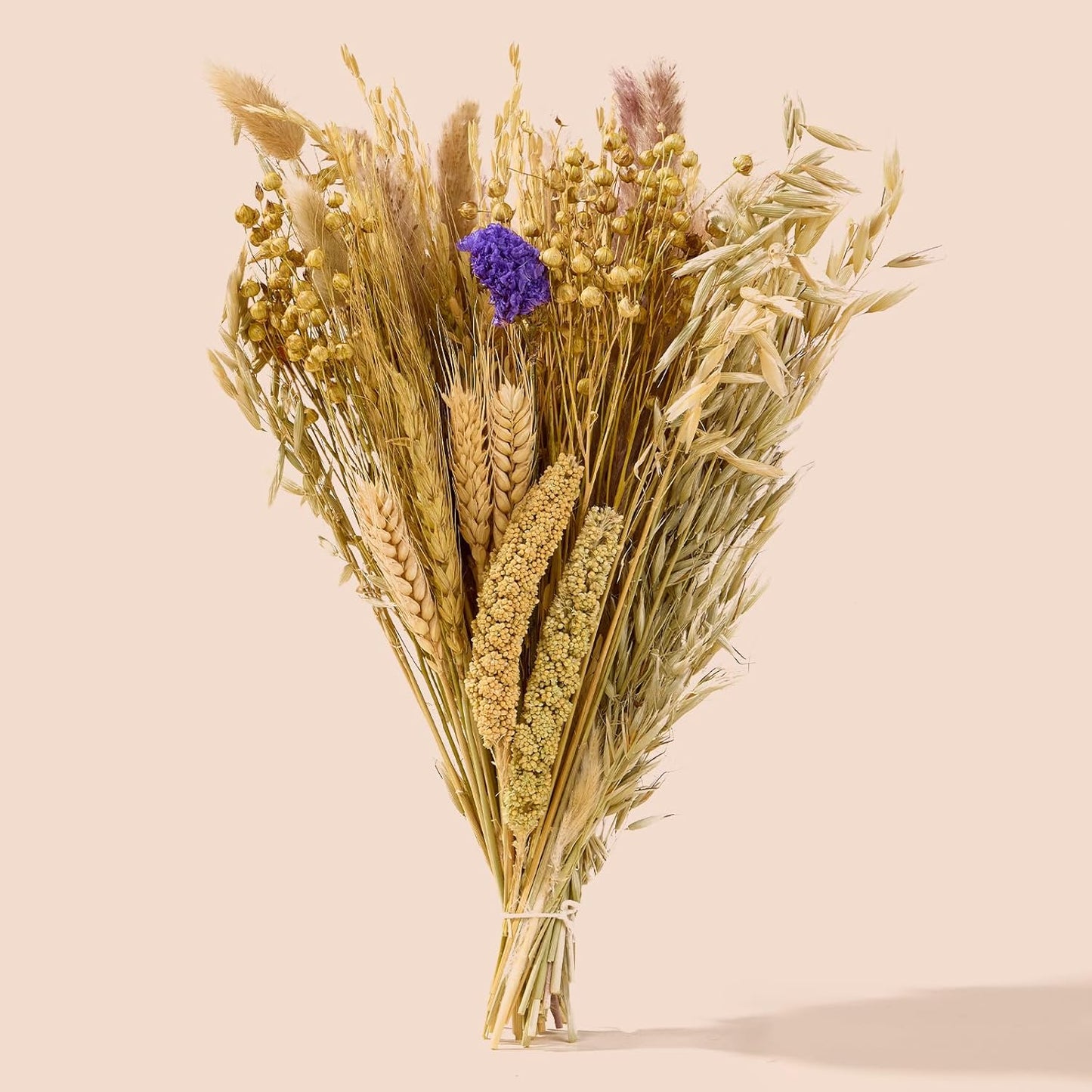 BUCATSTATE Natural Hamster Bedding - Flowers & Herbs & Sprays for Cage Habitat Decor - Treat Cereal Grain for Dwarf Syrian Gerbils, Mice, Rat, Forage, Enrichment (58PCS)