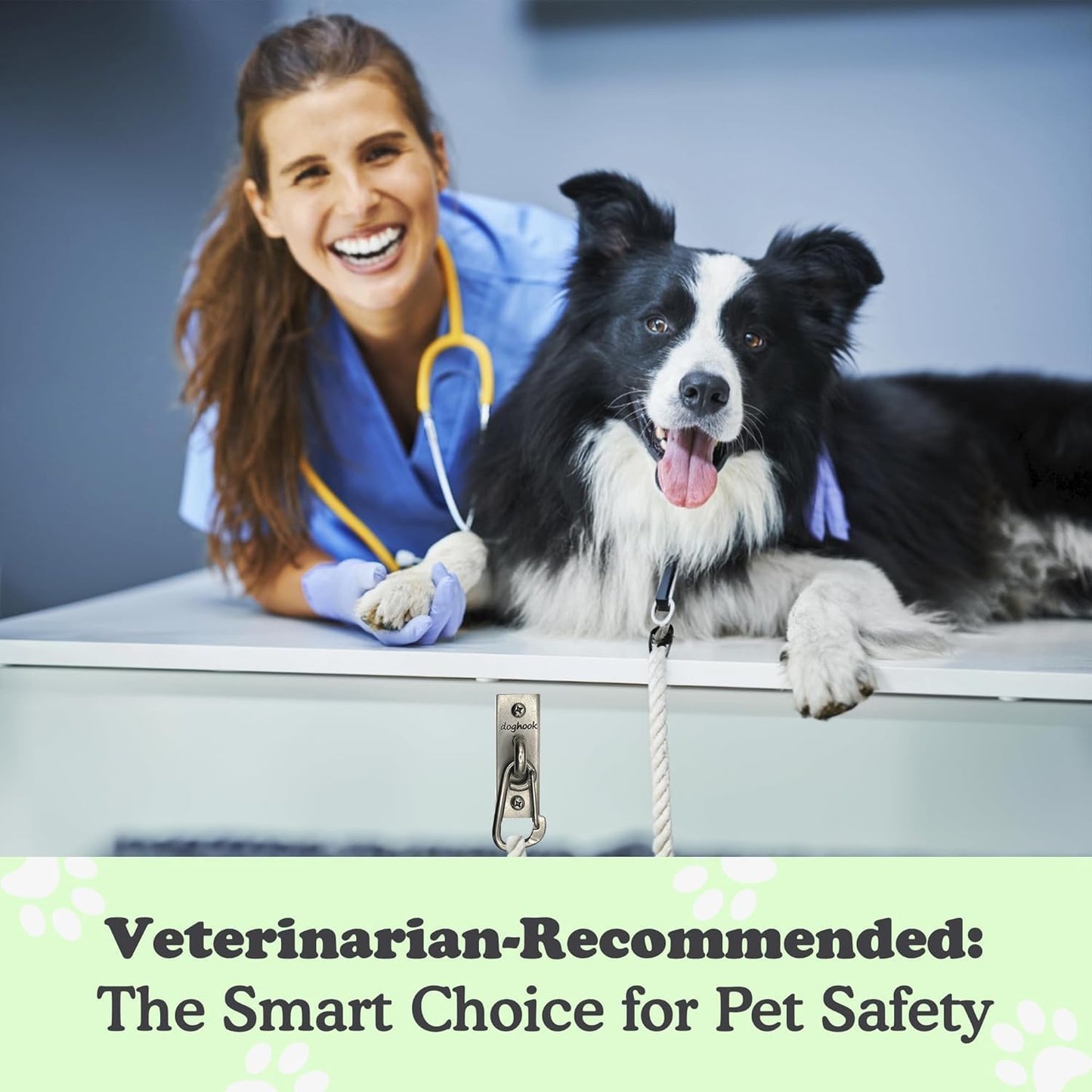 Canine Hitch- Secure Dog Leash Parking Wall Slim Hook with Clip 2 Pack - Tie Out Stainless Steel & ABS Mounting Plate for Strength - Practical Lead Management for Home & Business