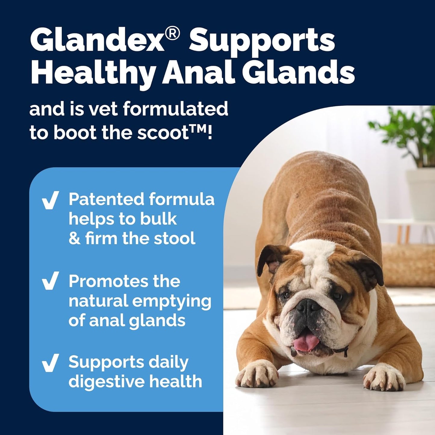 Vetnique Labs Glandex Anal Gland Soft Chew Treats with Pumpkin for Dogs Digestive Enzymes, Probiotics Fiber Supplement for Dogs Boot The Scoot (Bacon/Pork Chews, 120 Count)