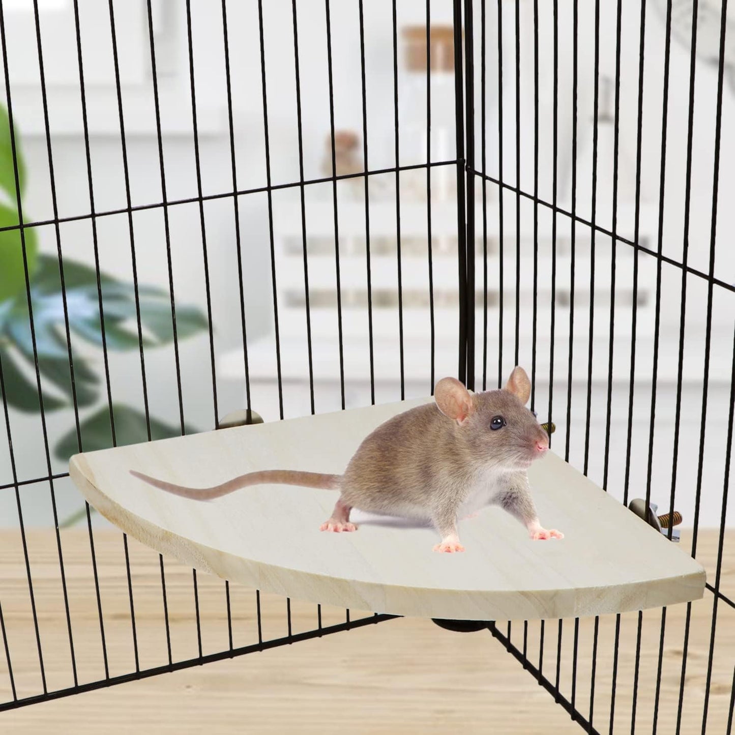 Wontee Bird Perch Stand 2 Pack Wooden Platform Corner Ledge for Budgies Cockatiels Conures African Greys Rats Gerbils Chinchillas Squirrels (L (7.9"x7.9")