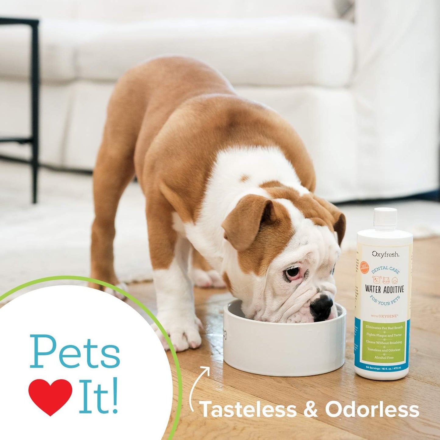 Oxyfresh Premium Pet Dental Care Solution Pet Water Additive: Best Way to Eliminate Bad Dog Breath and Cat Bad Breath - Fights Tartar & Plaque - So Easy, Just Add to Water! Vet Recommended 128 oz.