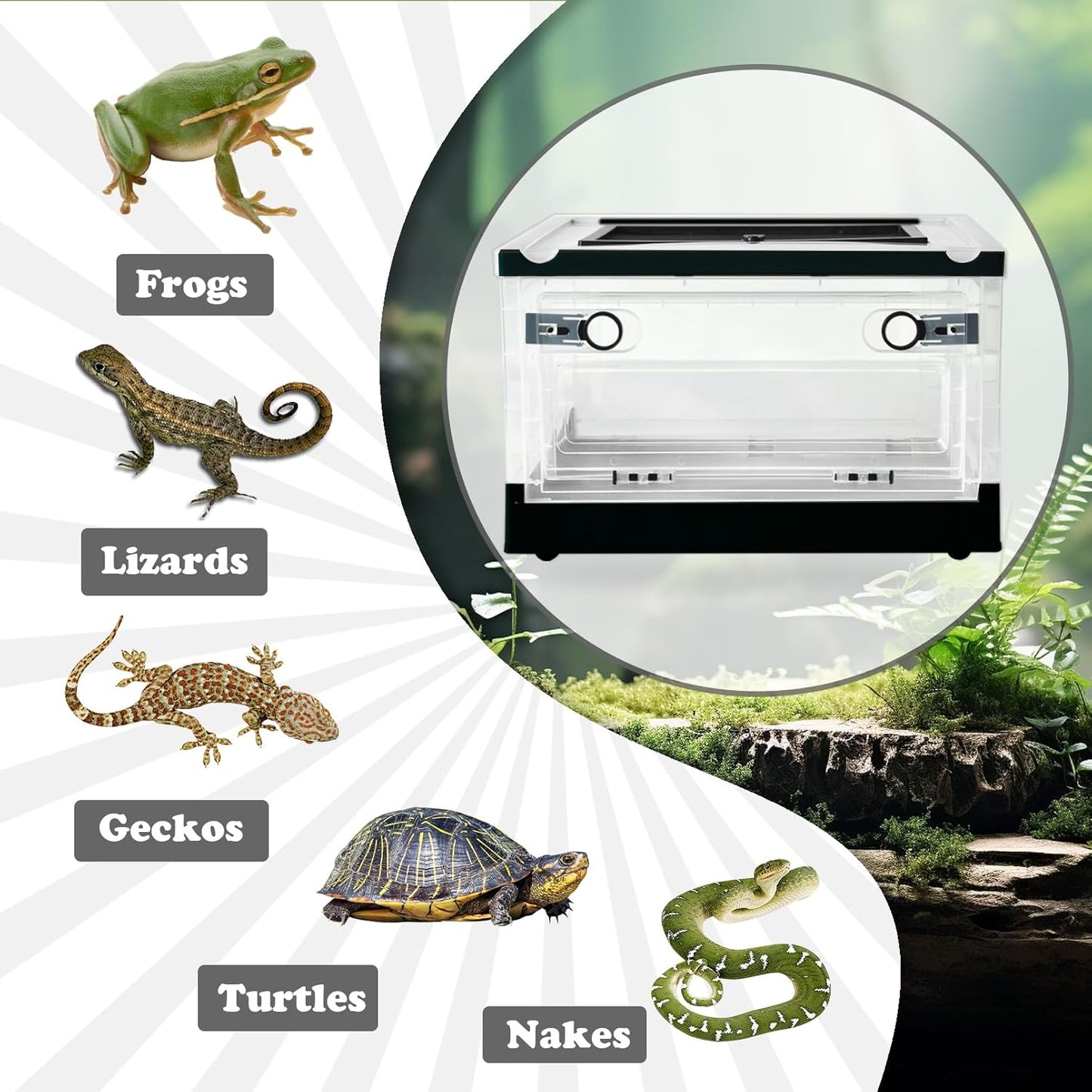 PINVNBY Plastic Reptile Feeding Box with Wheels,Reptiles Breeding Enclosure Cages Transparent Amphibians Habitat Terrarium Tank Portable Transport Container for Lizard,Bearded Dragon(Black)