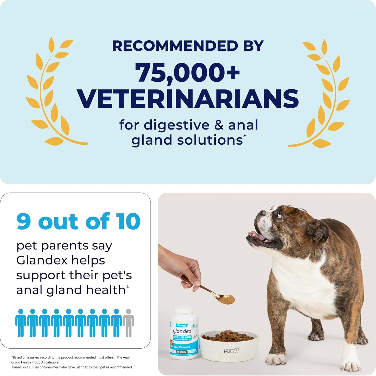 Vetnique Glandex Dog Fiber Supplement Powder for Anal Glands with Pumpkin, Digestive Enzymes & Dog Probiotics for Digestive Health - Vet Recommended - Boot The Scoot (Vegan Salmon, 2.5oz Powder)