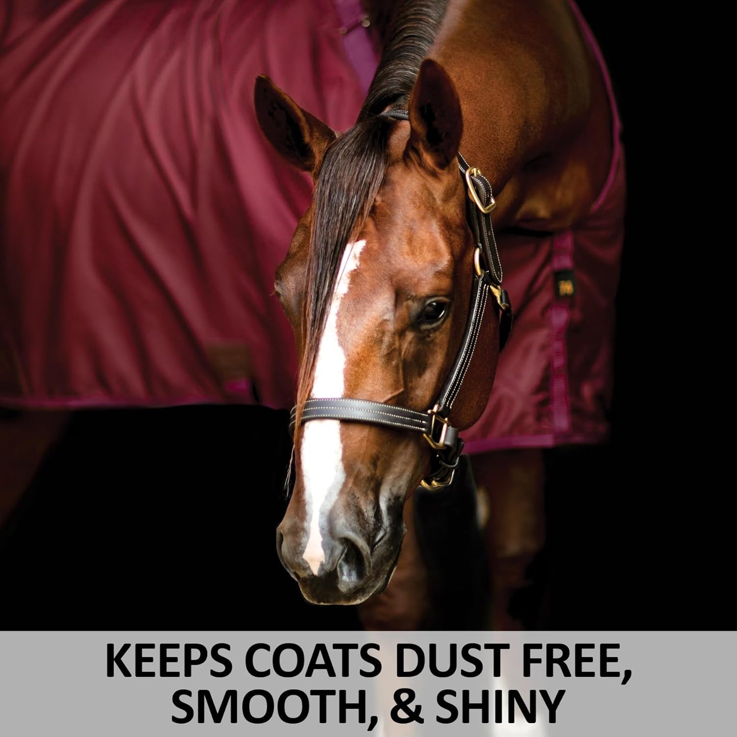 Dura-Nylon Horse Stable Sheet | Ultimate Comfort & Protection Horse Sheet | Keeps Coats Smooth & Shiny