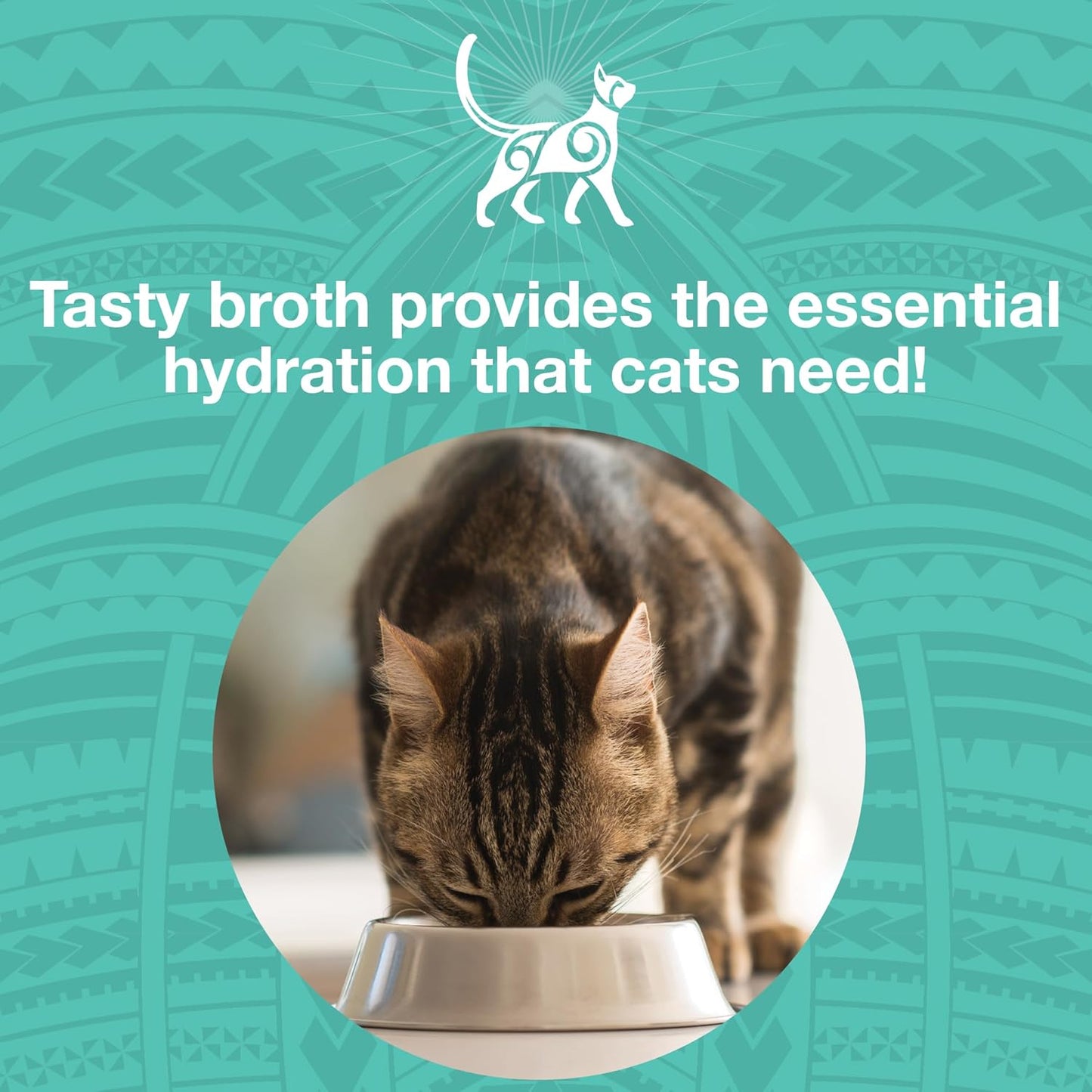 KOHA Pure Shreds Duck Entrée for Cats, Single Meat High Protein Wet Cat Food, 5.5oz Cans (Pack of 12)