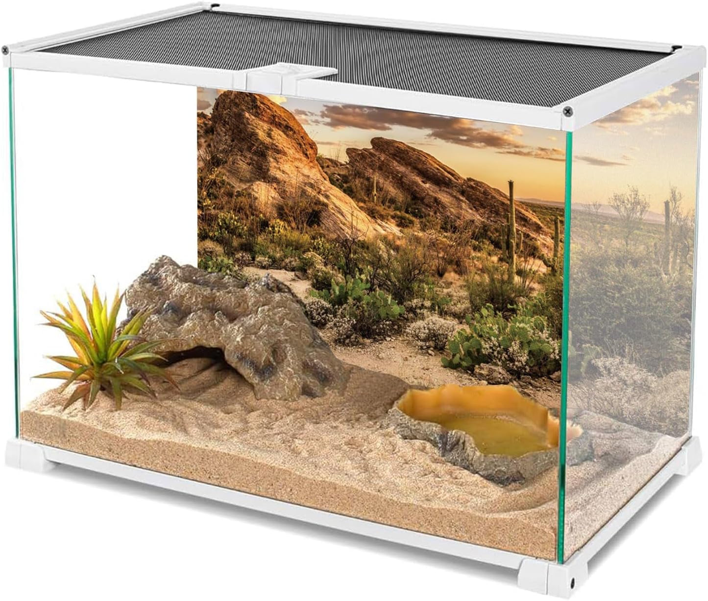 AWERT Reptile Habitat Background Blue Sky Oasis Cactus Sun and Desert Terrarium Background 72x24 inches Durable Polyester Background