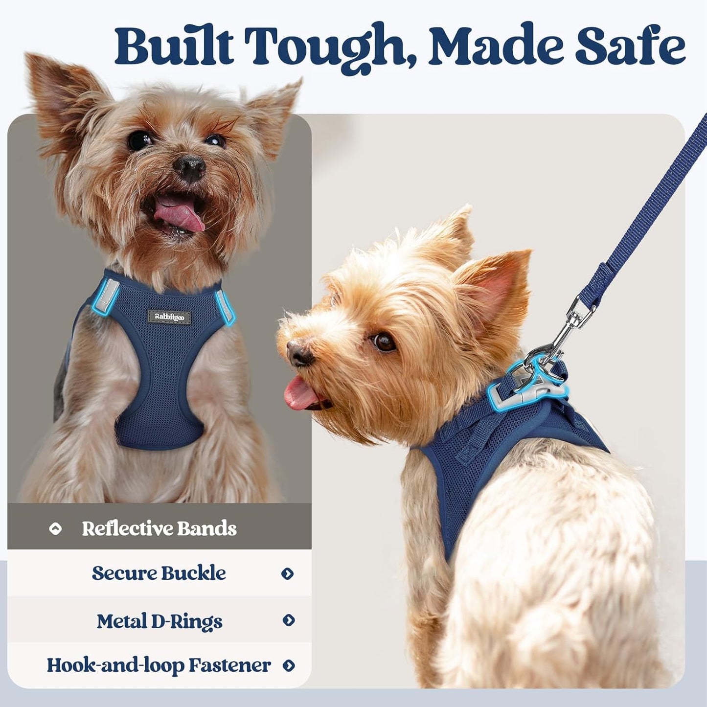rabbitgoo Dog Harness Small Sized and Leash Set, Step in Soft Light Puppy Vest, Breathable Mesh Pet Harness, Reflective for Safe Outdoor Walking, Navy Blue XXS