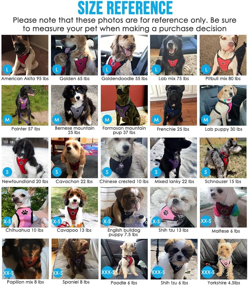 Lukovee Dog Seat Belt for Car, Adjustable Dog Car Harness for Large Medium Small Dogs, Soft Padded & Breathable Mesh Dog Seatbelt with Car Vehicle Connector Strap (Green,Large)