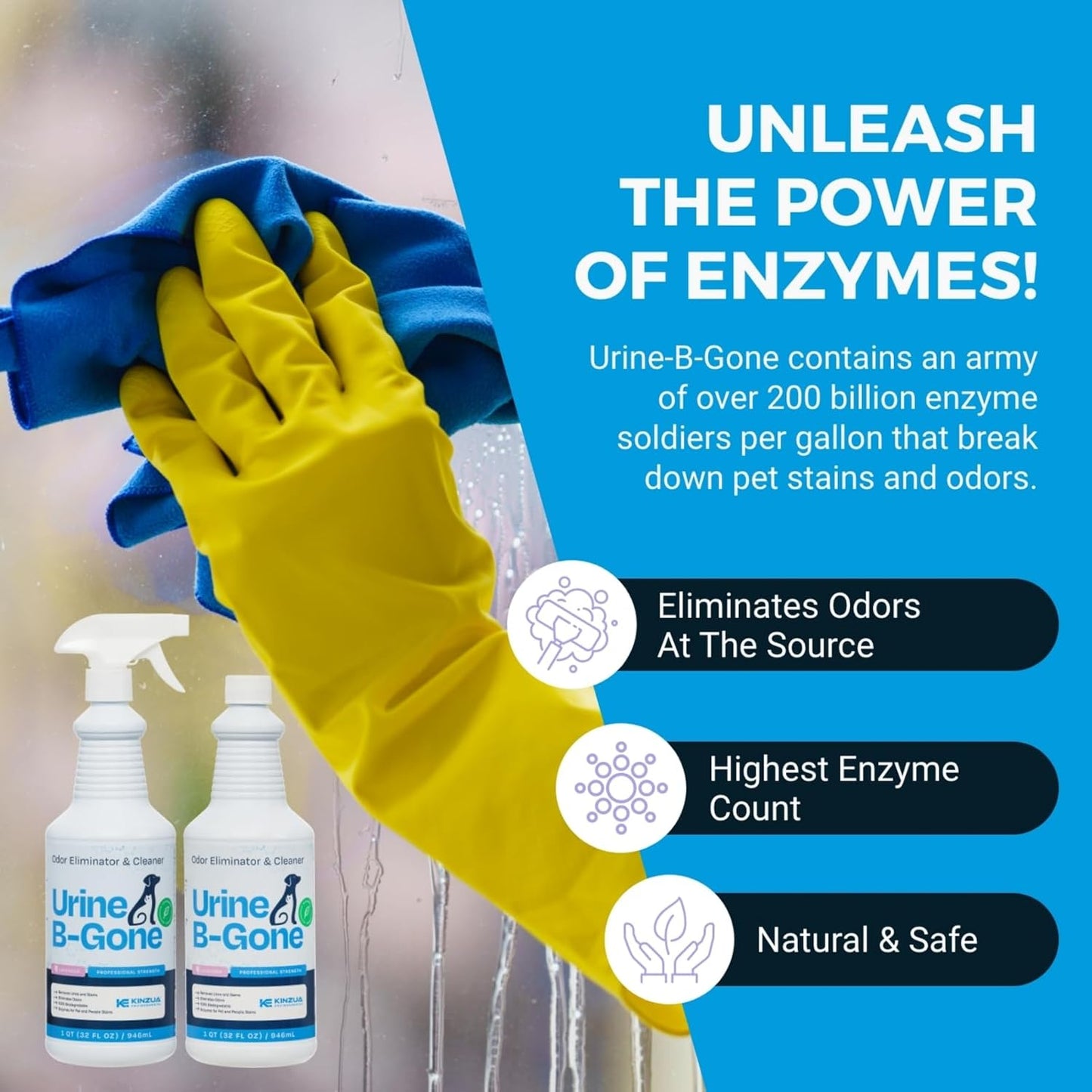 KINZUA ENVIRONMENTAL Urine B-Gone, Professional Enzyme Odor Eliminator & Pet Stain Remover, Human, Cat & Dog Urine Cleaner, Effective on Laundry, Carpets & More, Lavender Scent, 32oz, Pack of Two