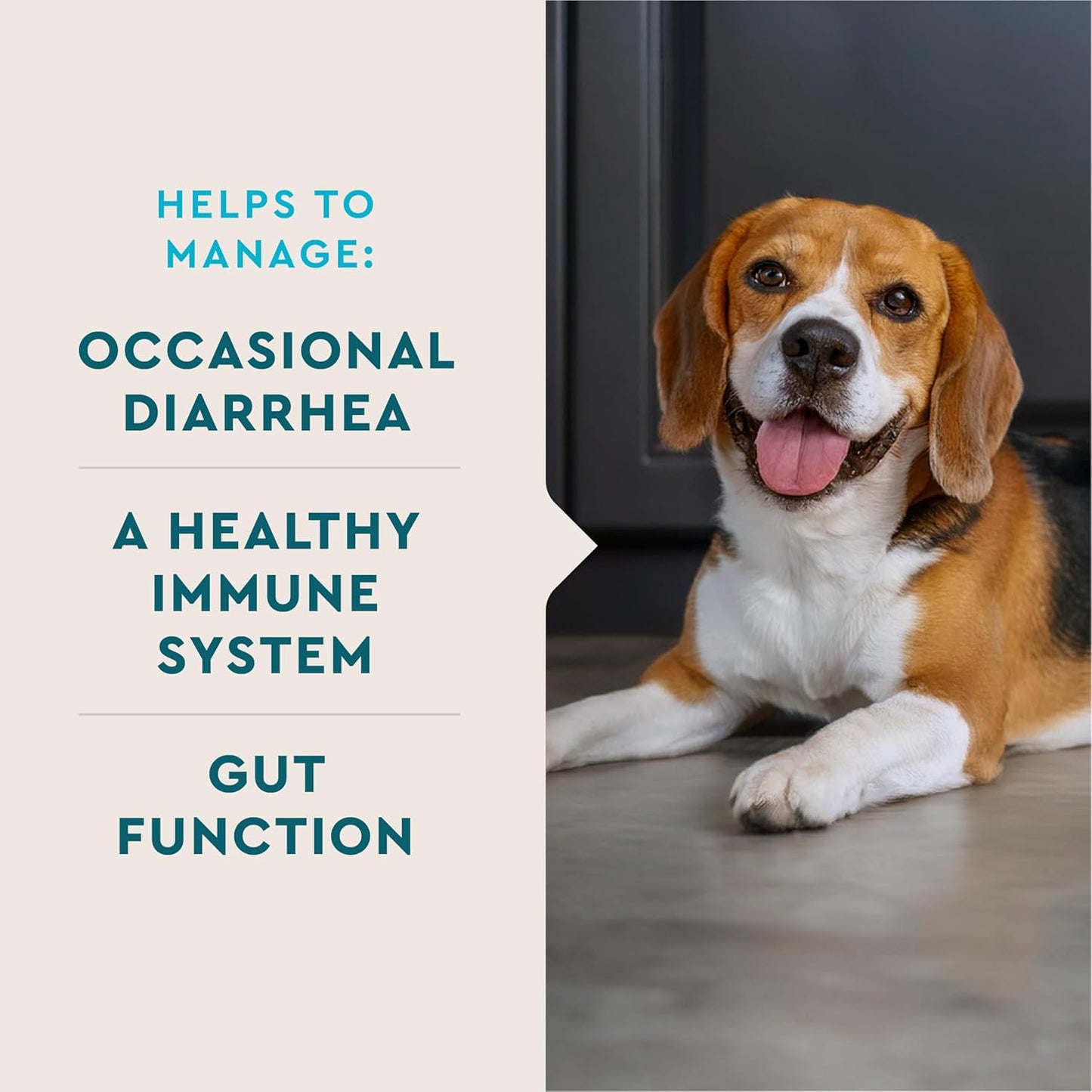 VetIQ Probiotic Powder for Dogs, Compare to Fortiflora Probiotic Powder*, Treats Diarrhea, Digestive Issues, and Food Sensitivity, Chicken Flavored Single Serve Packets, 30 Count