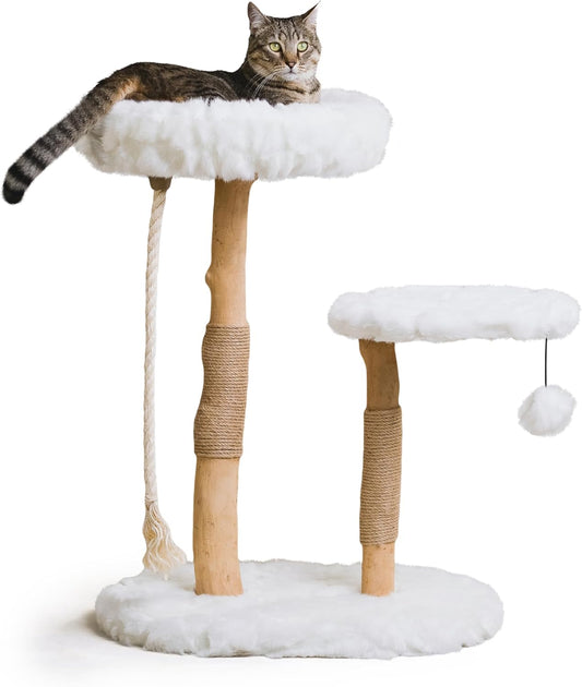 Mau Lifestyle Luxury Cat Tree: Modern Cat Condo & Luxury Wood Cat Tower; Natural Branch Scratching Tree & Cat Condo; Cat Gifts by Mau