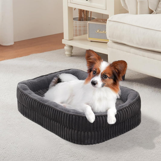 Orthopedic Dog Bed for Puppy,Extra Small Dogs Breeds,Oval Cat Bed,High Density Egg Crate Foam Dog Sofa Beds,Pet Couch Bed with Four Sided Bolster,Removable Washable Cover&Non-Slip Bottom