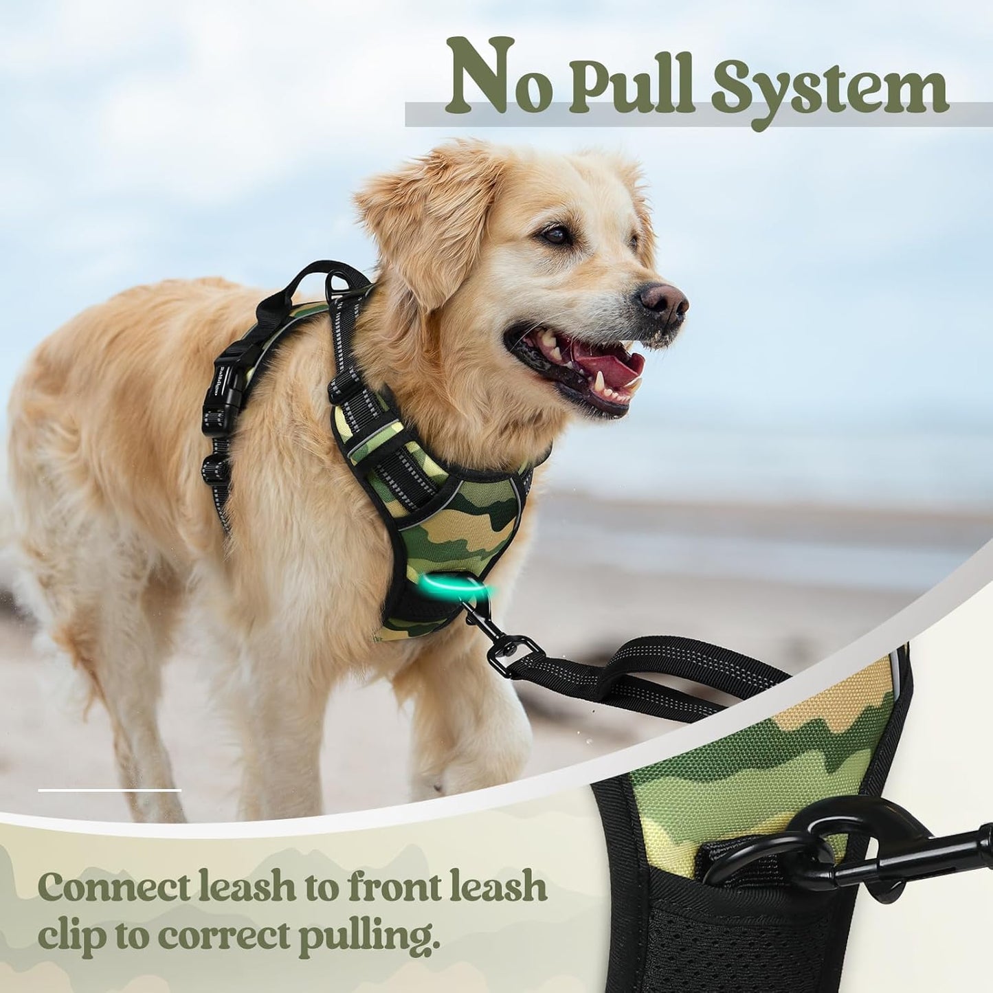 rabbitgoo Dog Harness No Pull with 2 Leash Clips, Adjustable Soft Padded, Reflective Oxford No Choke Pet Vest with Easy Control Handle for Large Dogs, Green Mountain,L