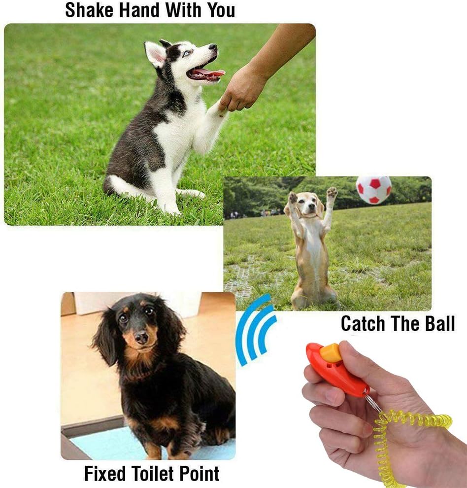 Rocutus 10-Piece Colorful Pet Training Clickers with Wrist Strap - Train Dogs, Cats, Horses & More