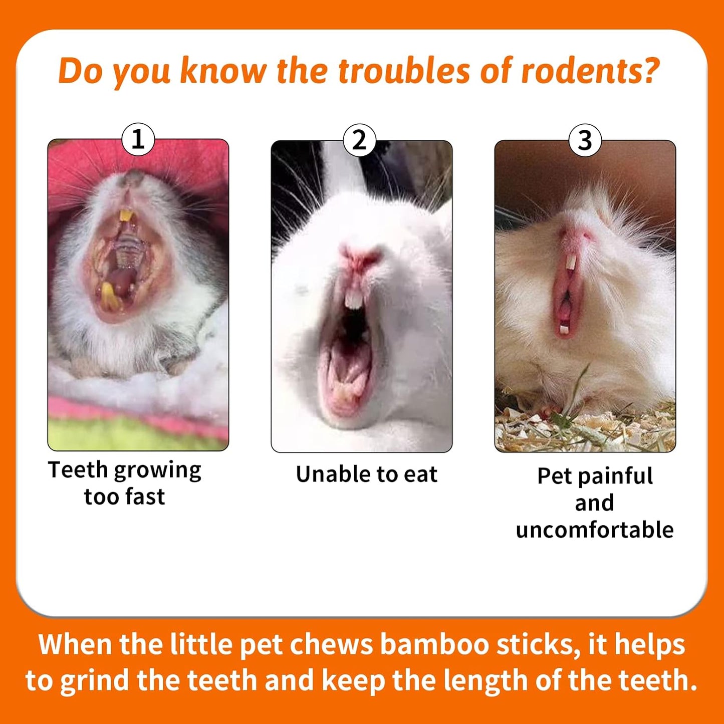 Fhiny 18 PCS Guinea Pig Chew Toys, Natural Seagrass Sweet Bamboo Molar Sticks for Teeth Bunny Chew Toys Cage Accessories for Rabbit Bunny Guinea Pig Chinchilla Hamster