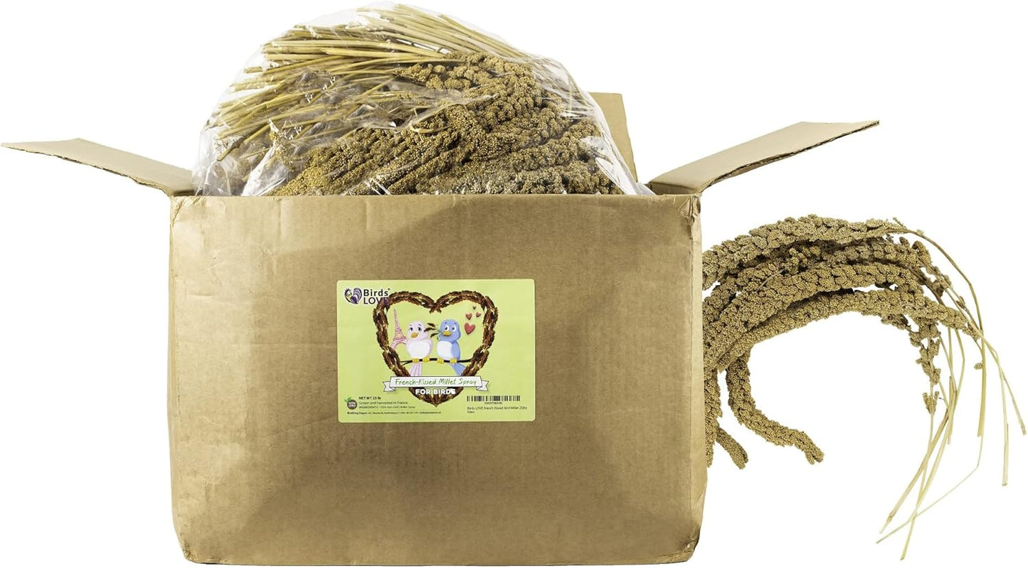 Birds LOVE French Kissed Spray Millet for Birds - Parakeets, Cockatiels, Lovebirds, Finches, Budgies, Canaries, Cockatoos - Natural & Healthy Bird Millet - Parakeet Food & Treats for all Parrots 25lbs