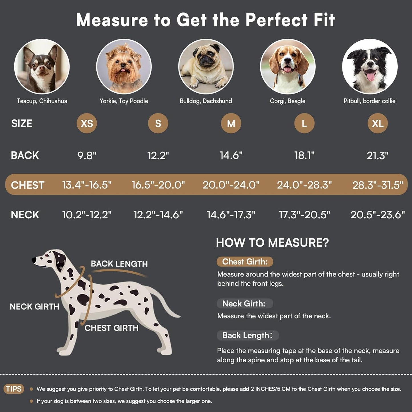 Queenmore Dog Winter Coat Warm Puffer Jacket Waterproof Plush Lining Thermal Cold Weather Vest for Small Medium Large Dogs, Windproof Easy On Pet Jacket Yellow XS