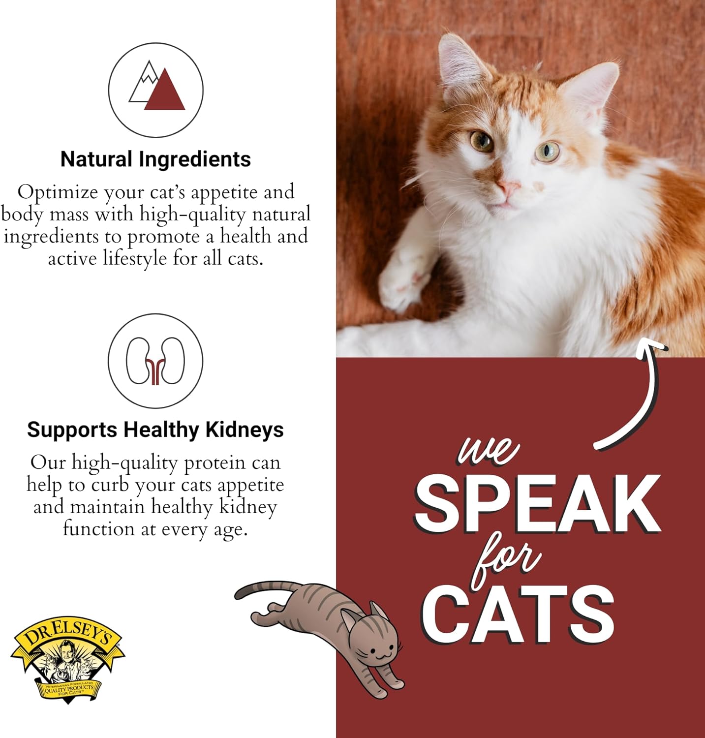 Dr. Elsey's cleanprotein Salmon Recipe Wet Cat Food, Pate 5.3 oz cans (Pack of 24)