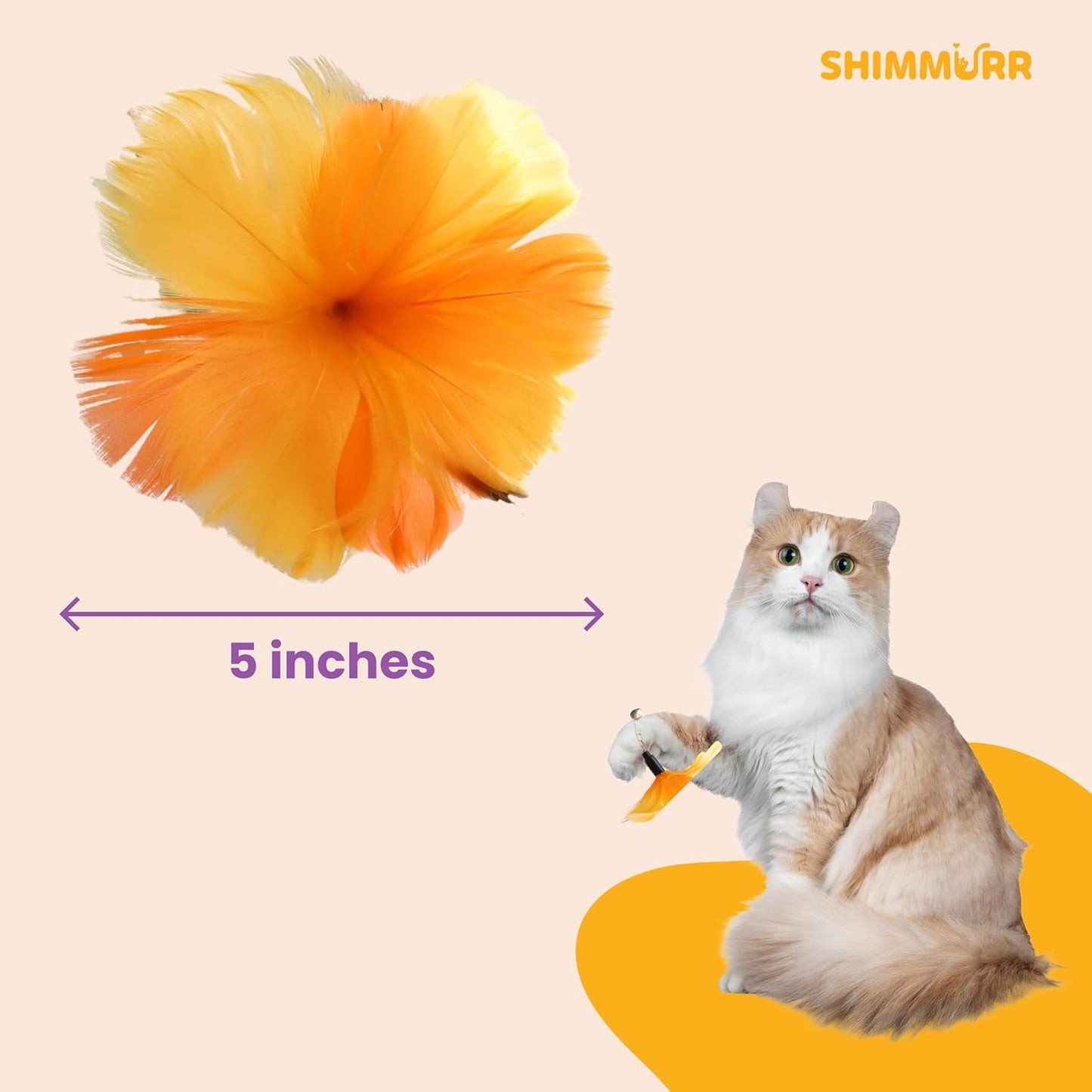 Cat Feather Wand Toy - 38" Retractable Cat Wand Toy with Orange Feather Flower Teaser Refill for Indoor Cats and Interactive Play