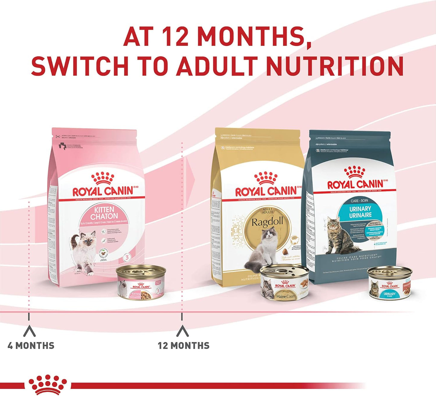 Royal Canin Feline Health Nutrition Kitten Thin Slices in Gravy Canned Cat Food, 3 oz., Count of 24