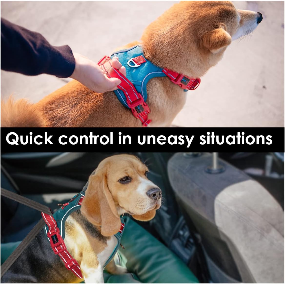 PHOEPET No Pull Dog Harness, Unique Colors Reflective Adjustable Dog Vest, with Soft Training Handle Metal Clips for Small Medium Large Dogs (Teal Base & Red Straps,XS)