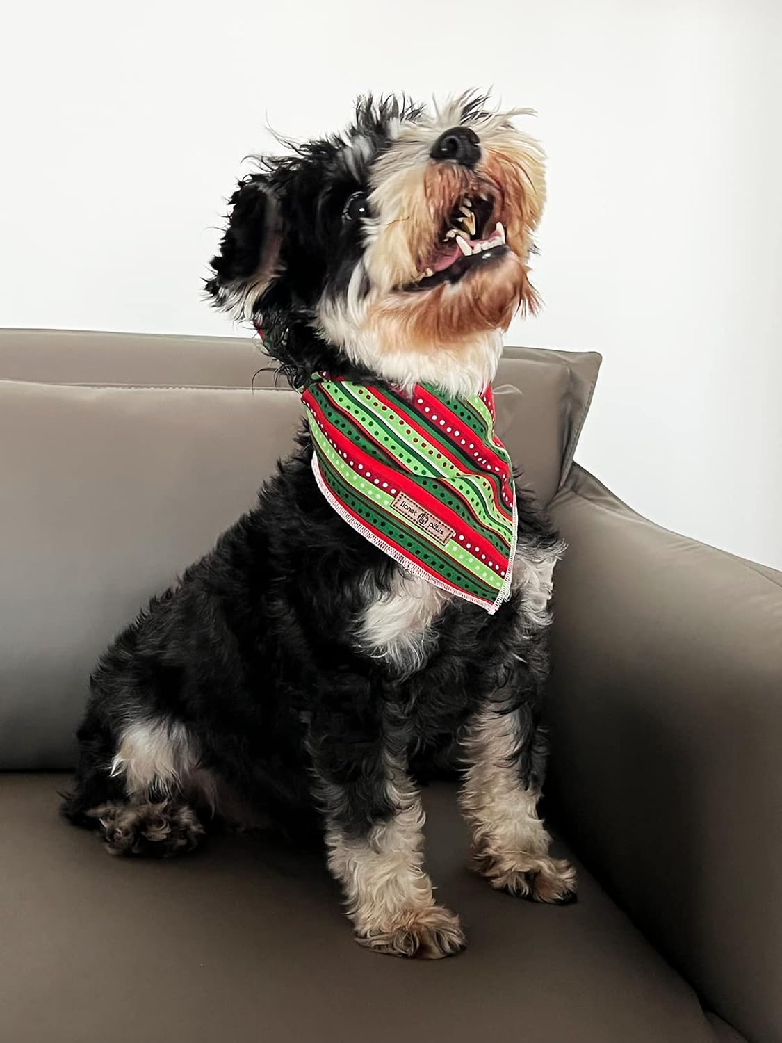 lionet paws Christmas Dog Bandana,Fabric Dogs Kerchief for Small Medium Large Dogs,Dog Cotton Triangle Bibs Scarf for Girl Boy