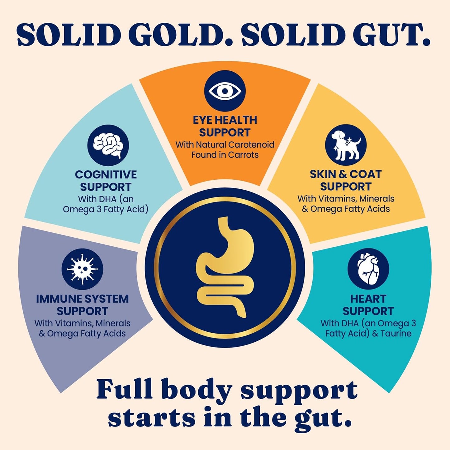 Solid Gold Dry Cat Food for Indoor Cats of All Ages - W/Lamb, Brown Rice, Barley, Probiotics & Fiber for Gut Health- Holistic & Healthy Cat Kibble for Kittens & Adults - Dry Kibble for Cats - 12 LB