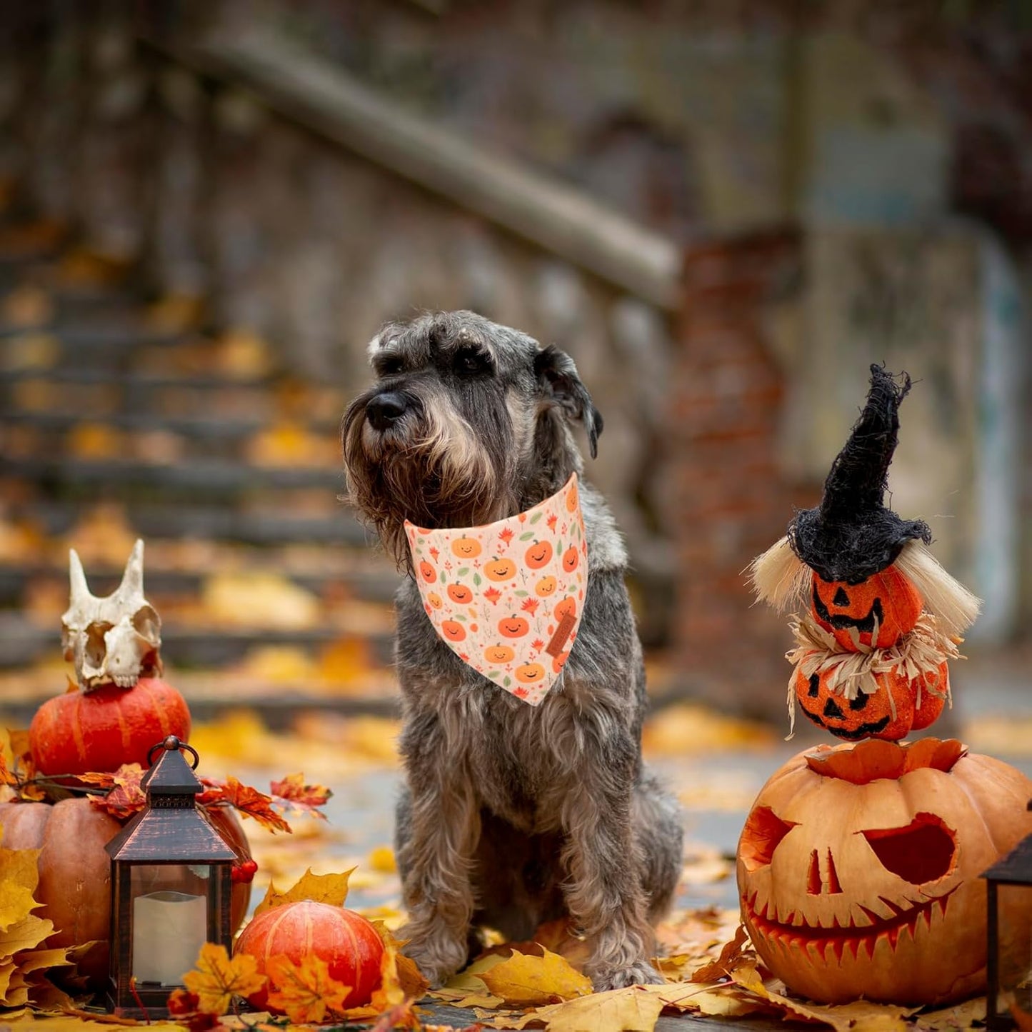 PTDECOR Halloween Dog Bandana, Ghost Pumpkin Design Reversible Holiday Dog Scarf, Triangle Halloween Bandanas for Small Dogs Puppies Cats(Small)