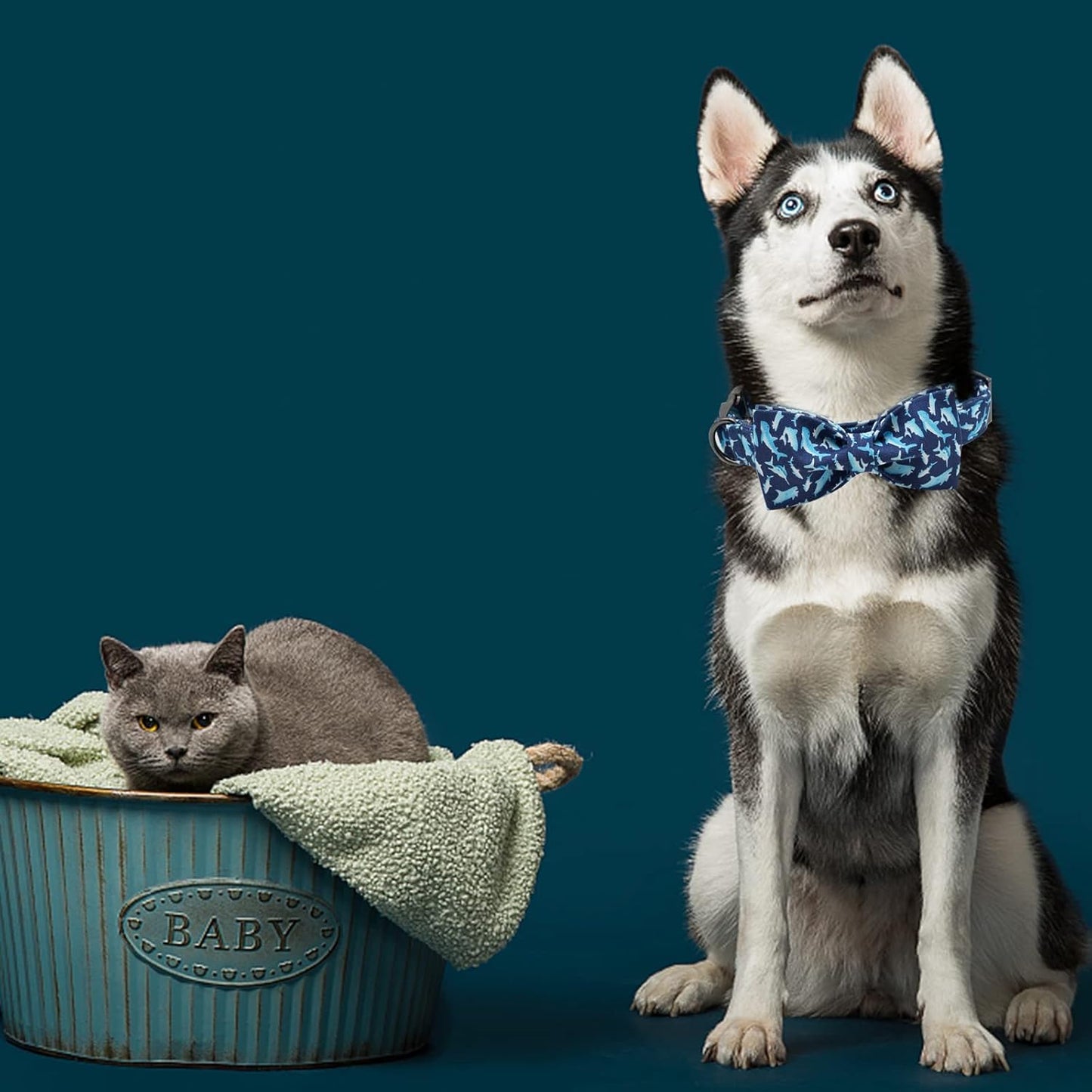 Elegant Little Tail Dog Collar with Bow, Shark Print Adjustable Cute Bowtie Collar for Medium Dogs