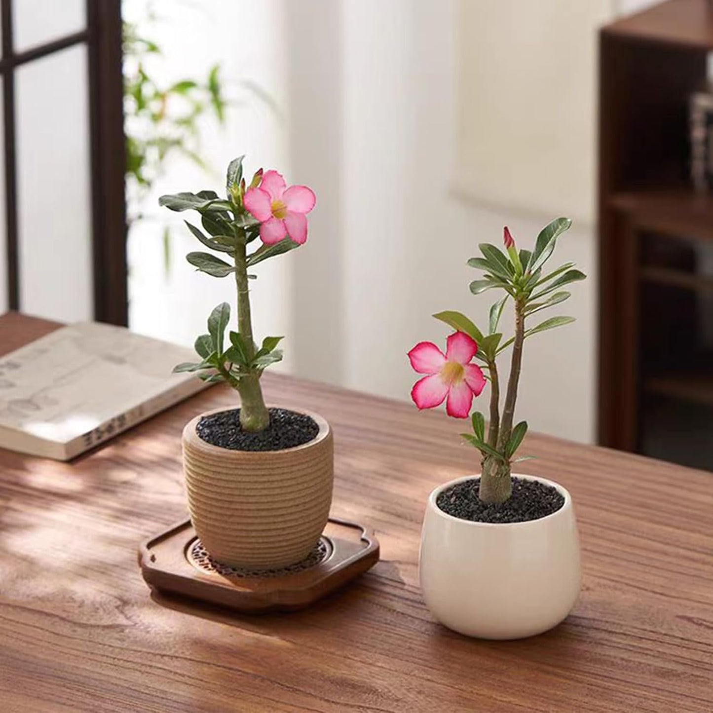 10 lbs Black Aquarium Silica Sand. Decorative Aquarium Gravel Substrate for Fish Tank, Plants Potted, Fire Pits, Candle, Vase Filler and Crafts