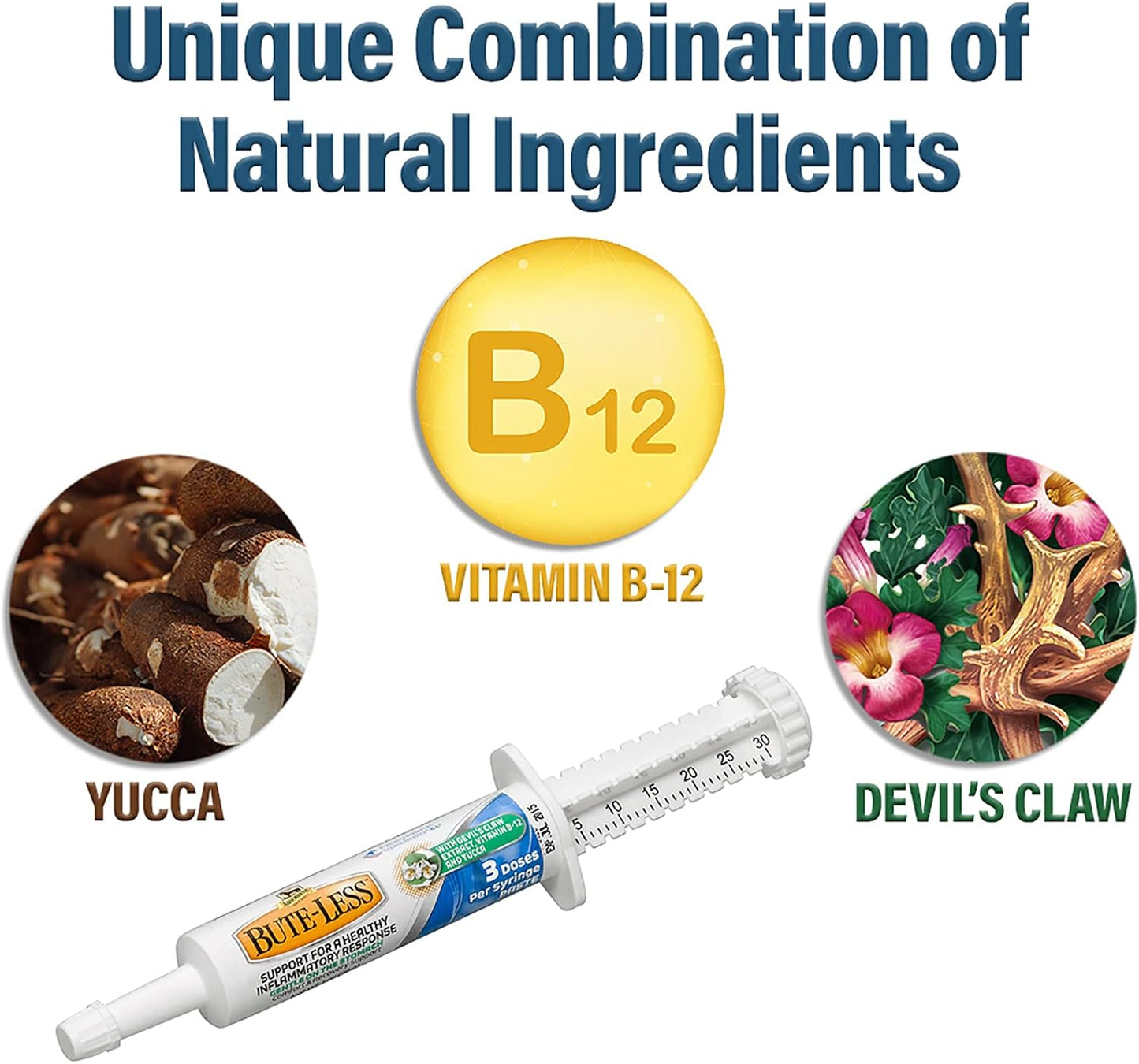 Absorbine Bute-Less Long-Term Horse Comfort & Recovery Supplement Paste, Gentle on Stomach, Devil’s Claw, Vitamin B-12, Yucca, 1oz Syringe / 3 Doses