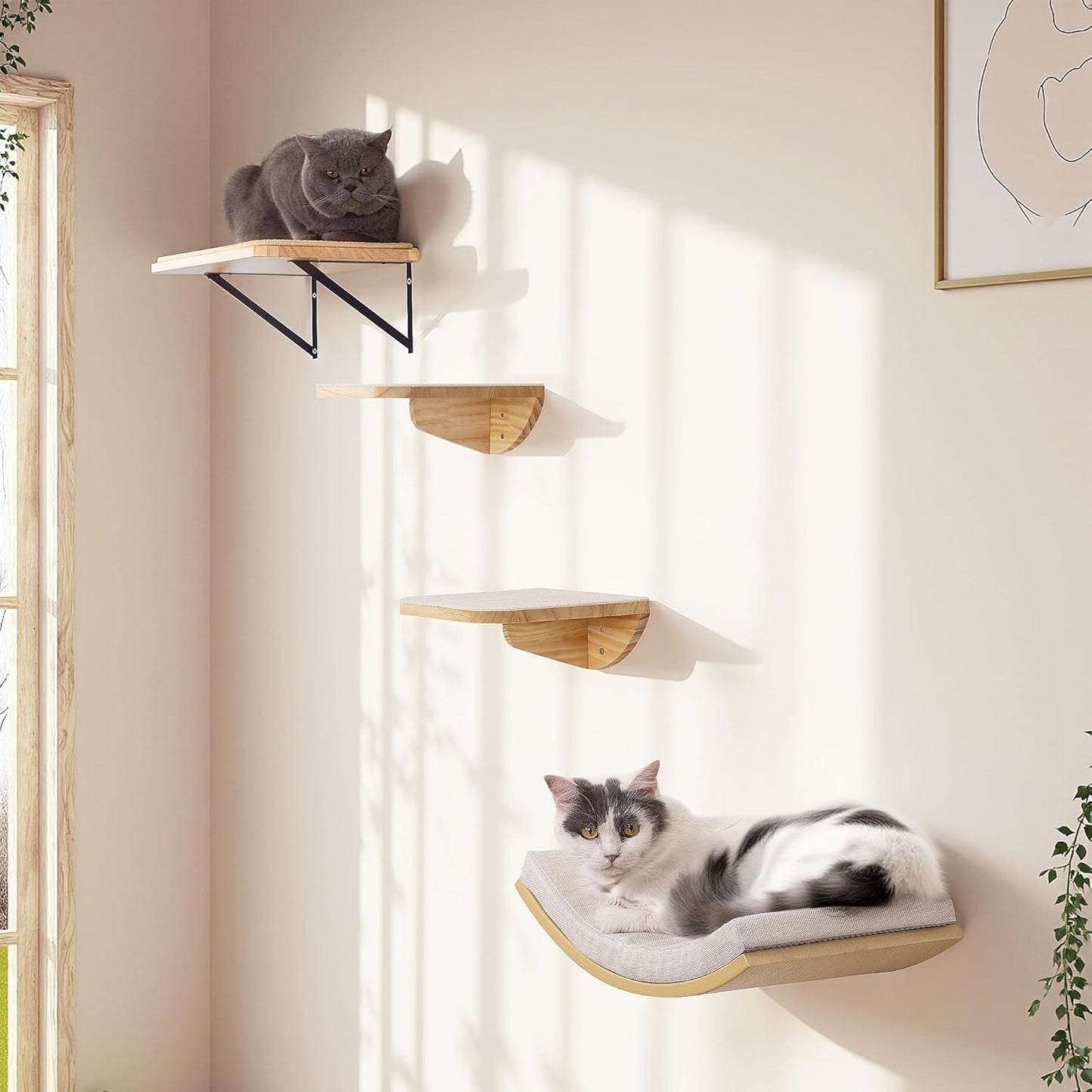 Cat Wall Shelf & Window Perch Combo, Wood Cats Wall Furniture with Soft Foam Curved Bed and Felt-Padded Steps, 4-Piece Floating Cat Climbing System