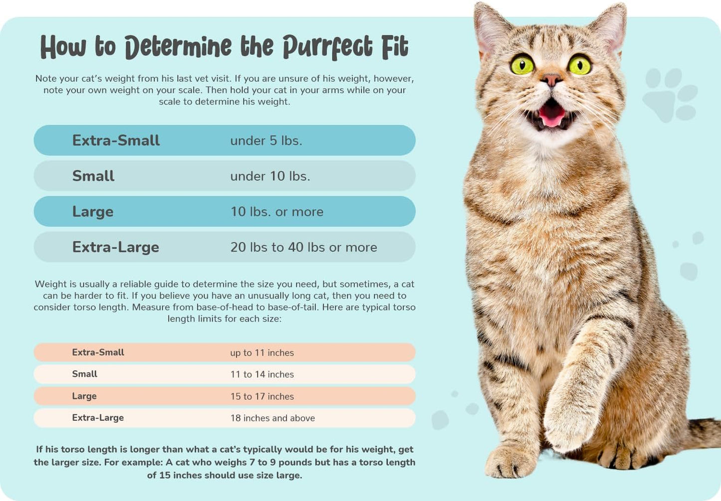 Cozy Comfort Carrier - X-Large Charcoal Grey Cat Carrier Bag, Soft Cat Carrier and Cat Wrap for Nail Clipping, Vet Visits, Medication Administration, Dental Care, and Traveling