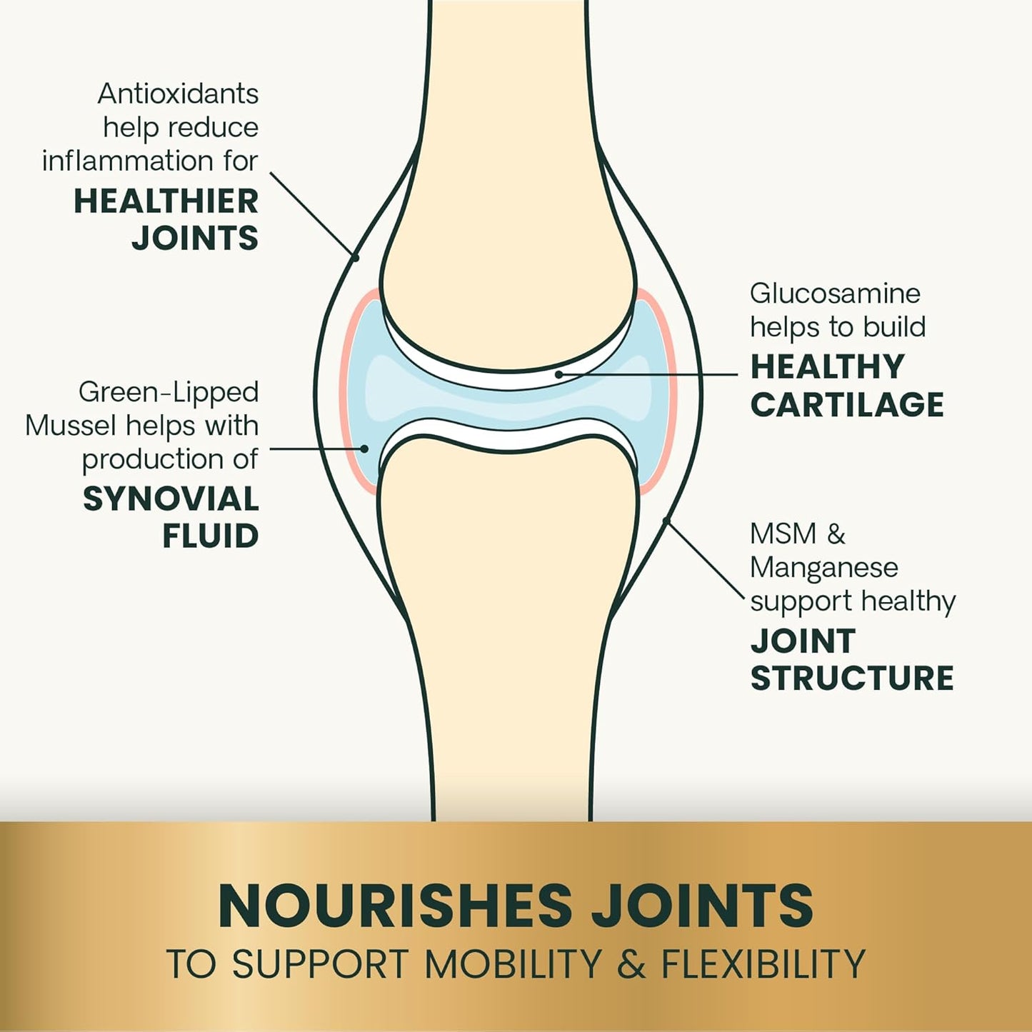 VetriScience Ultimate Strength Healthy Hip & Joint Chews, GlycoFlex Glucosamine, Chondroitin and Green-Lipped Mussel Joint Support Supplement for Dogs, Soothe Joint Discomfort, Duck, 120 Count
