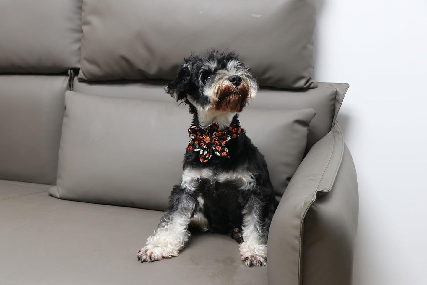 Lionet Paws Dog Collar with Flower - Cute Cotton Adjustable Flower Dog Collar with Metal Buckle for Large Dog Girl Gift, L, Neck 16-24in