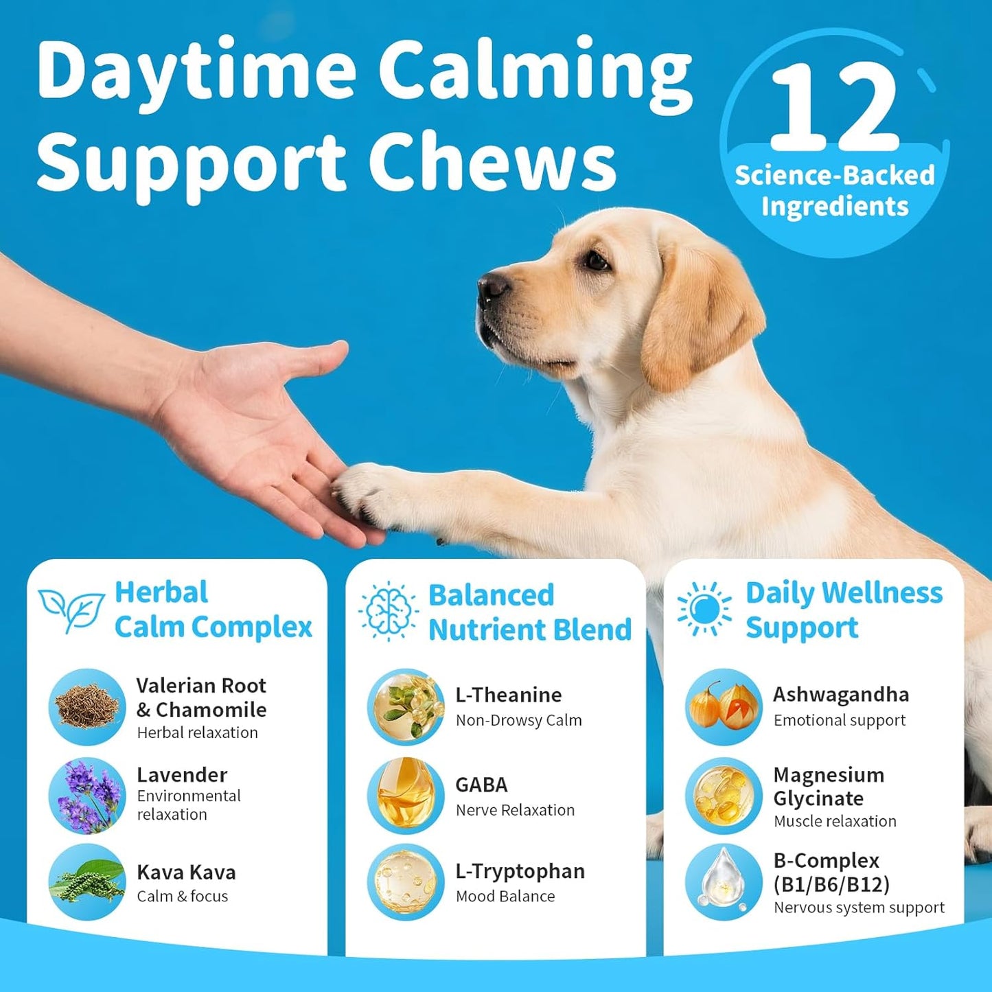 Calming Chews for Dogs – Calming Treats for Anxiety, Stress, Separation, Travel&Thunder, Relaxation & Focus Support with L-Theanine, Valerian Root, Chamomile & Ashwagandha, Chicken Flavor, 90Ct