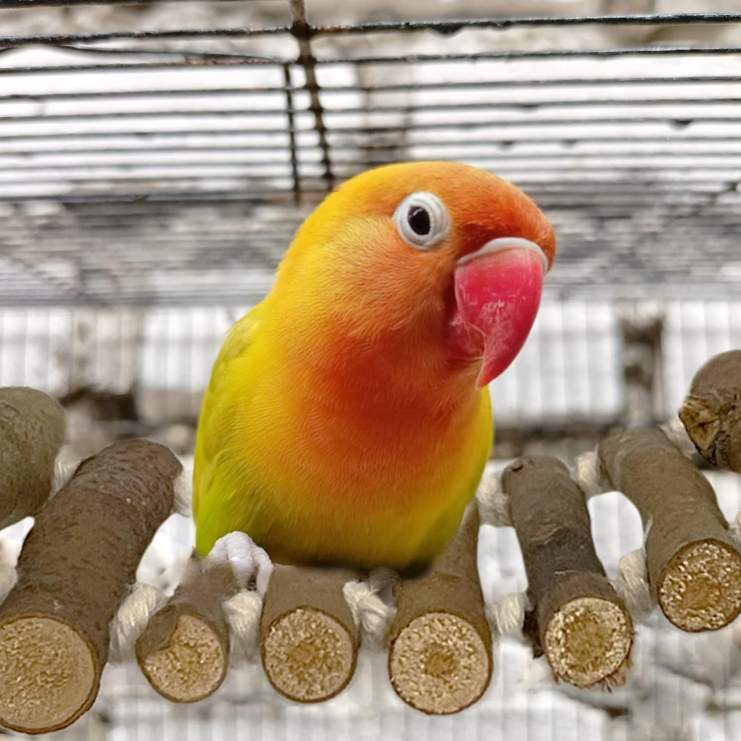 SIMENA Bird Cage Ladder, Parrot Bridge Made of Natural Wood and Rope, Interactive Bird Toy for Small and Medium Sized Birds and Parrots, Parakeets, Cockatiels, Amazon Parrots, Conures etc.