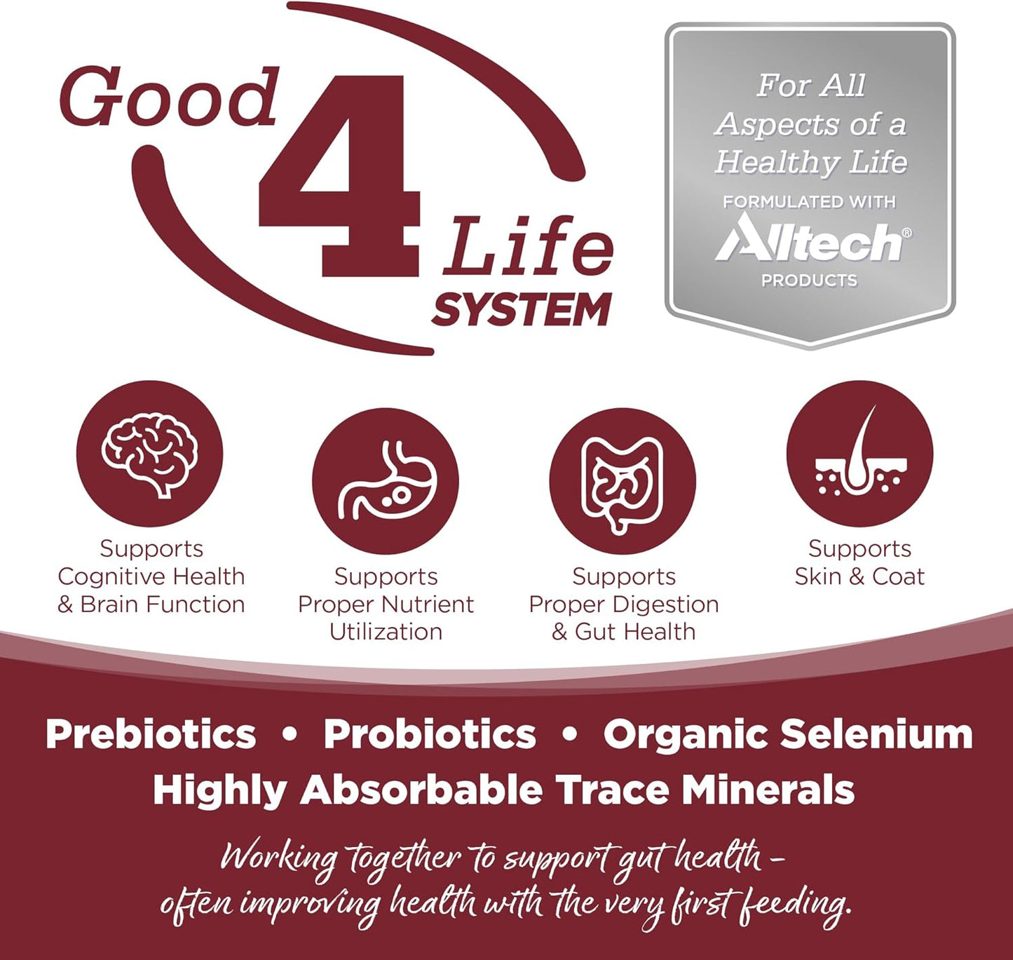 NutriSource Dry Dog Food, Beef and Rice, 12LB