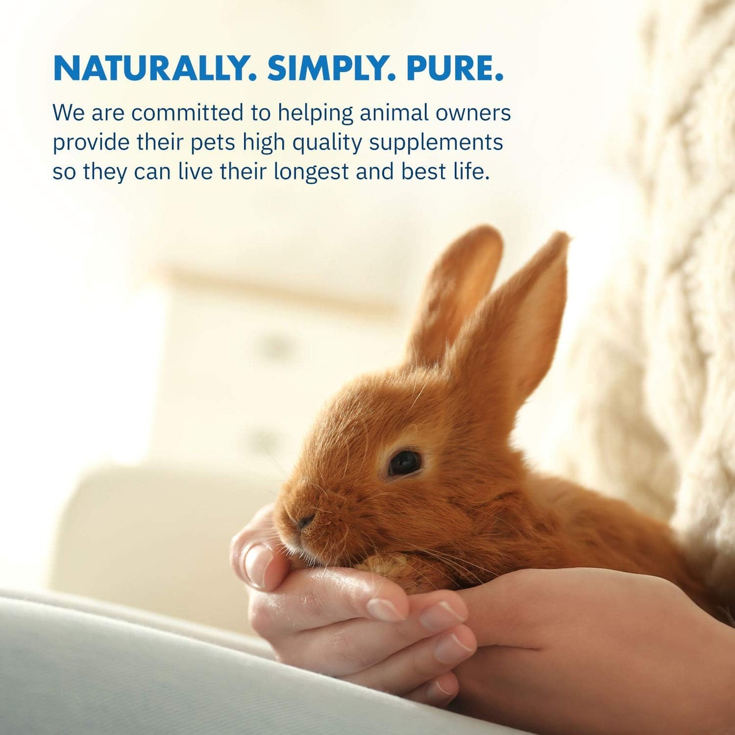 HealthyGut™ Probiotics for Rabbits Dietary Supplement, All-Natural Digestive System Formula (600 Servings)