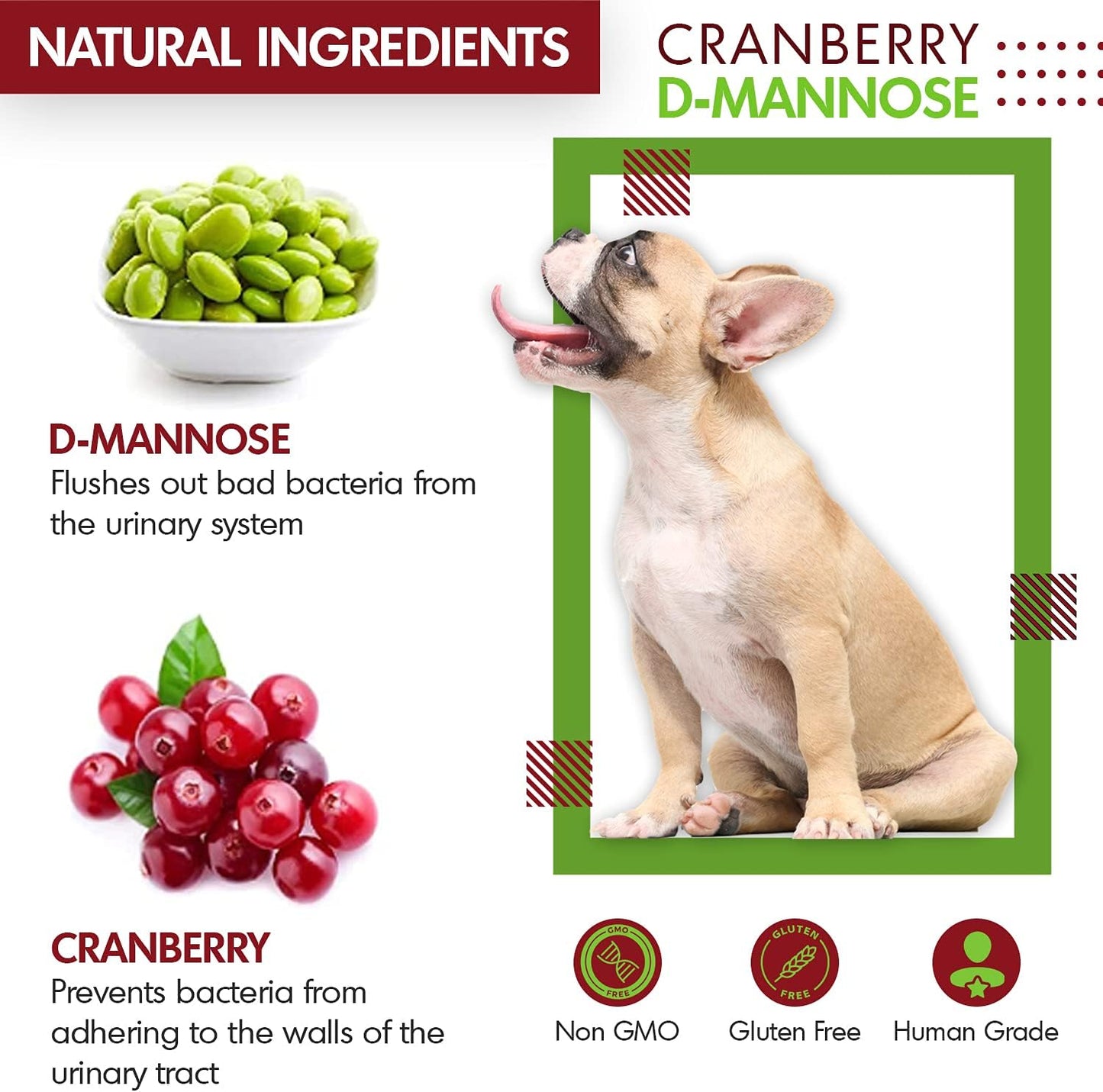 Cranberry D-Mannose for Dogs and Cats Urinary Tract Infection Support Prevents and Eliminates UTI, Bladder Infection Kidney Support, Antioxidant (Single Strength Tablet, 150 Count)