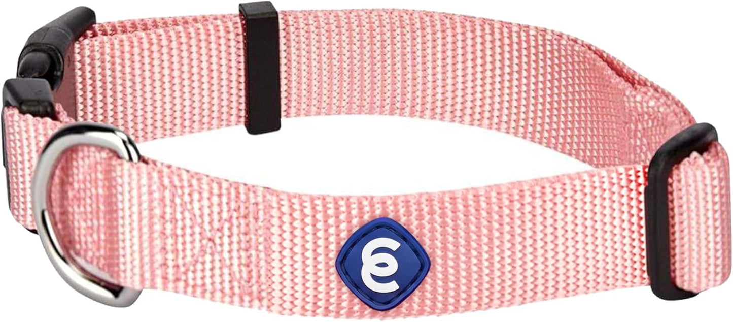 Blueberry Pet Essentials Medium Dog Collar in Baby Pink | Adjustable & Eco-Friendly Durable Nylon Strap | Classic Collar for Medium Dogs, Boy & Girl Pets