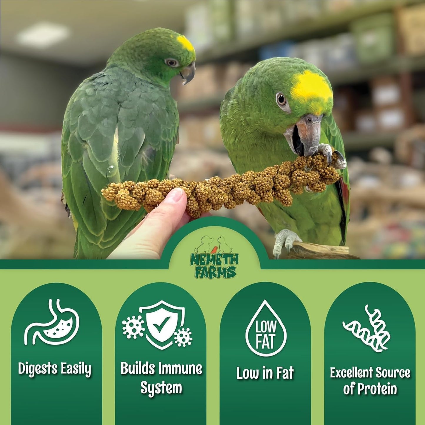 Nemeth Farms- GMO-Free Sun Dried Spray Millet | (No Stems Only Edible Tops) The Original Bird Treat and Supplement for All Pet Birds Parakeets, Cockatiels, Lovebirds and Finches 25lbs