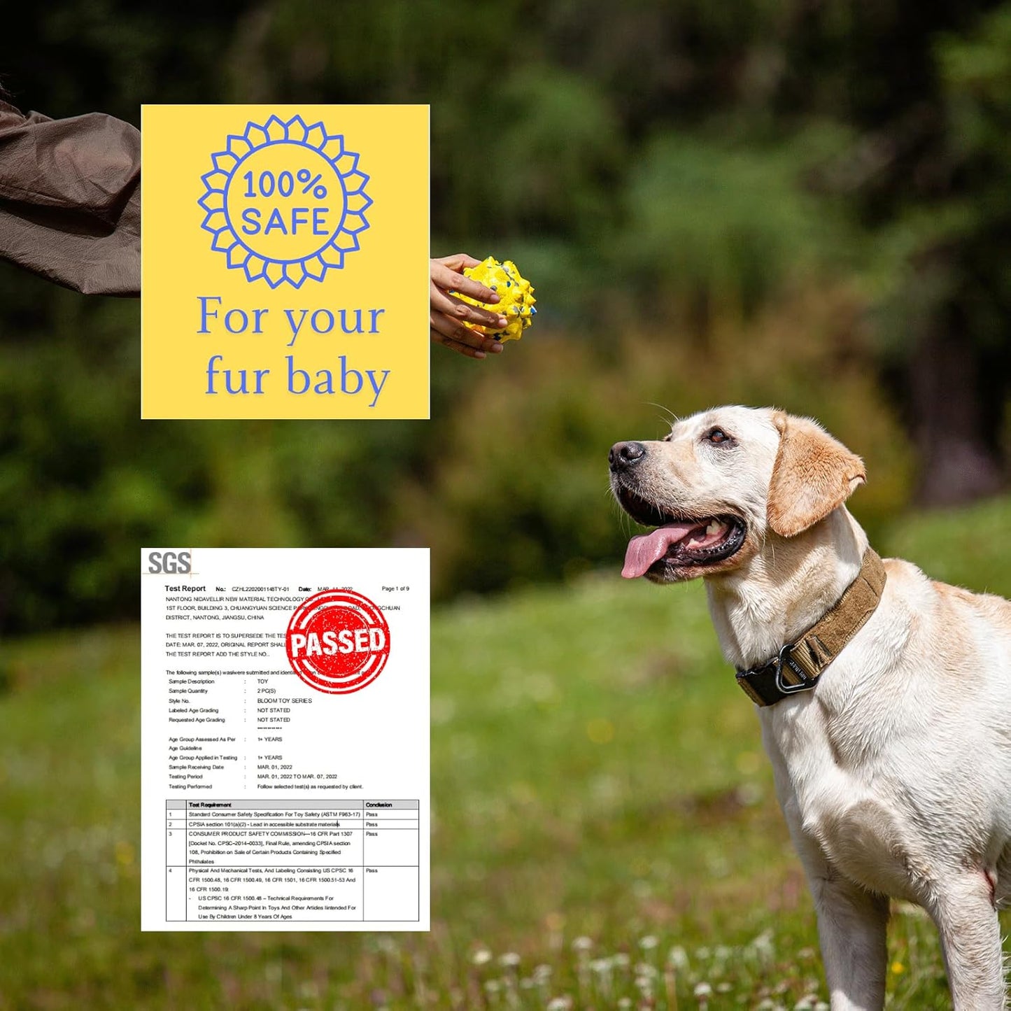 Tough Dog Toys for Aggressive Chewers & Teething Puppies, Bouncy Balls for Medium Dogs, Durable Pet Toys, Floating Dog Balls for Water Play (Yellow-Blue-Gray)