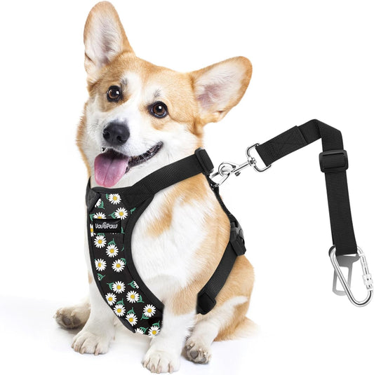 Dog Seat Belt, Safety Vest Dog Car Harness with Adjustable Buckle Dog Seat Belt for Vehicle Nylon Pet Safety Seat Belts Heavy Duty(S, Black Daisy)