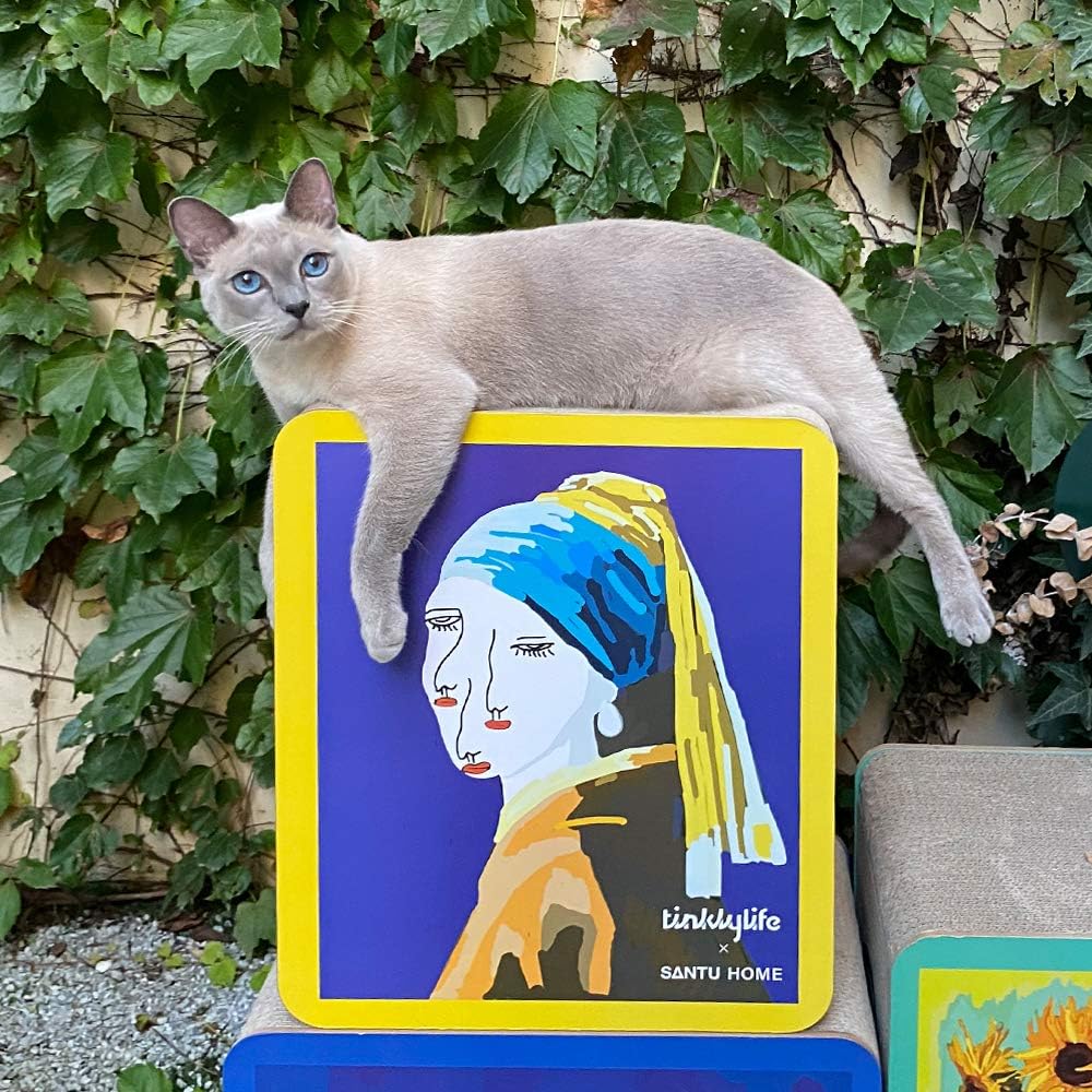 Cat Scratcher Cardboard, Girl with a Pearl Earring Shape Adaptation Spoof Version Cat Scratching House Bed Furniture Protector, Pink